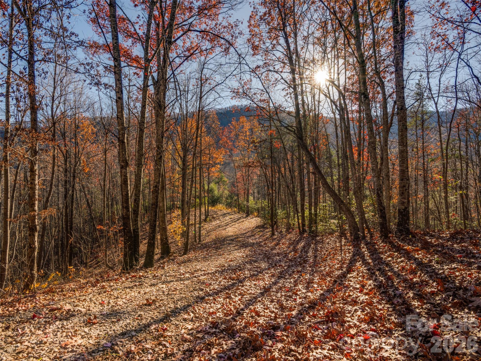 263 Nuthatch Lane - Photo 13