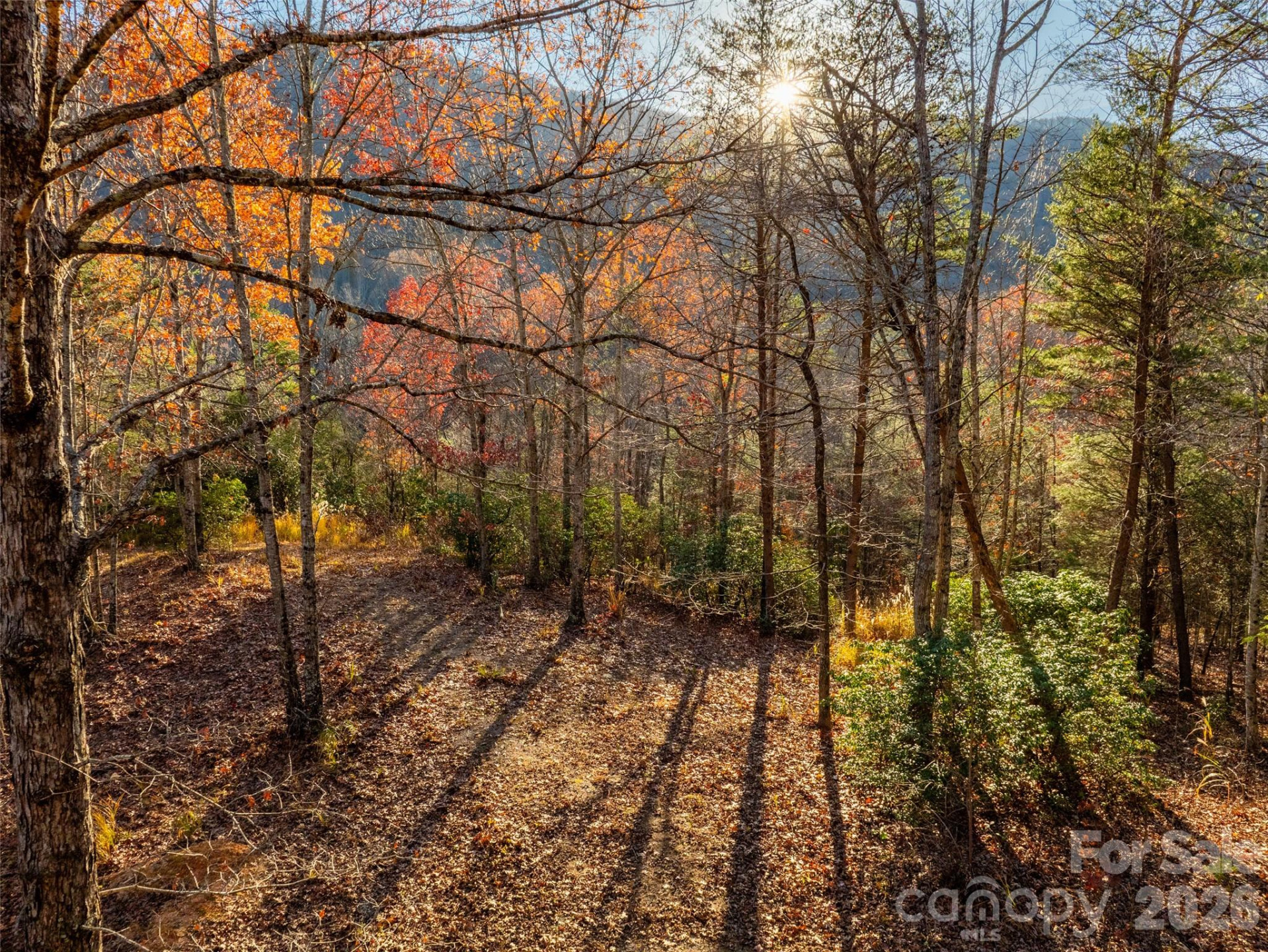 263 Nuthatch Lane - Photo 14