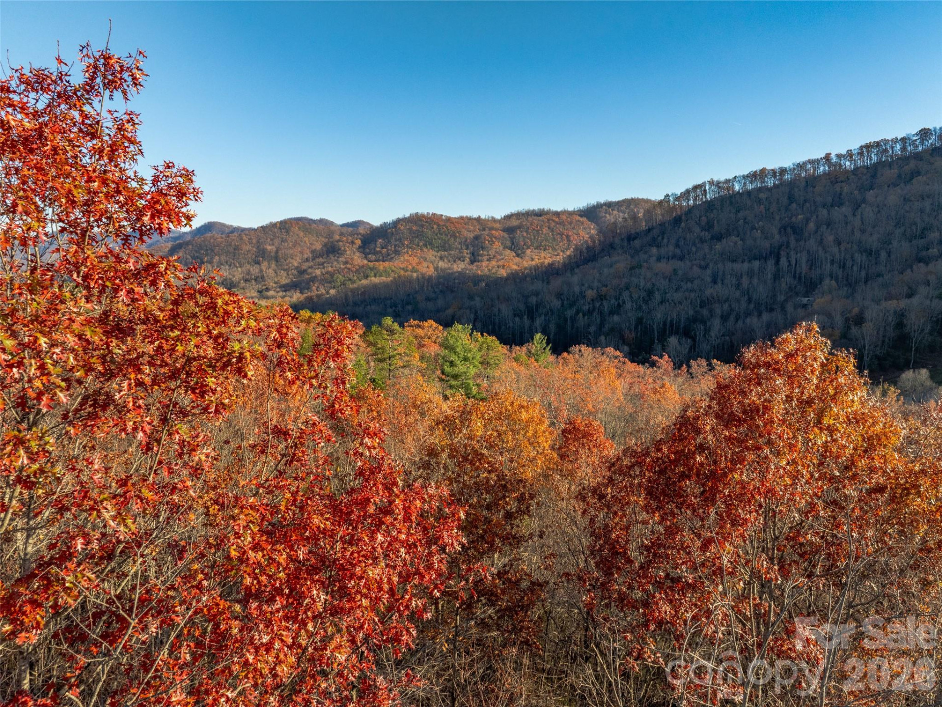 263 Nuthatch Lane - Photo 15