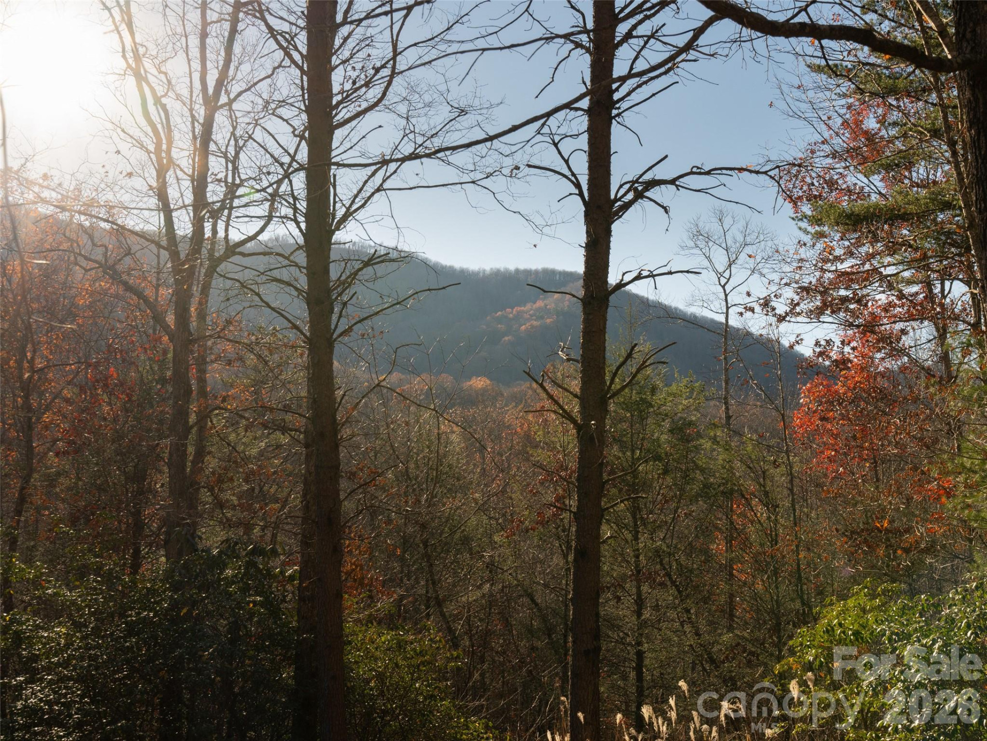 263 Nuthatch Lane - Photo 16