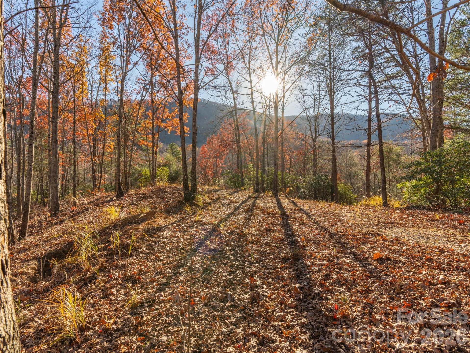 263 Nuthatch Lane - Photo 4