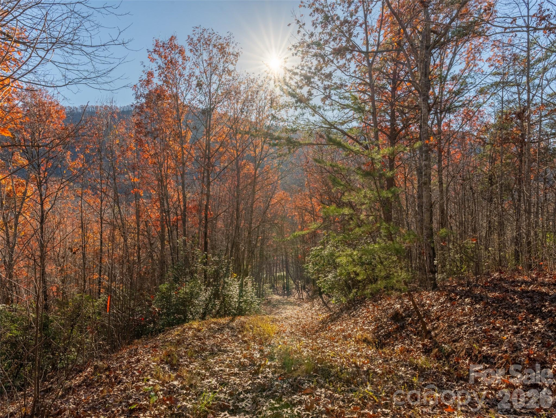 263 Nuthatch Lane - Photo 6