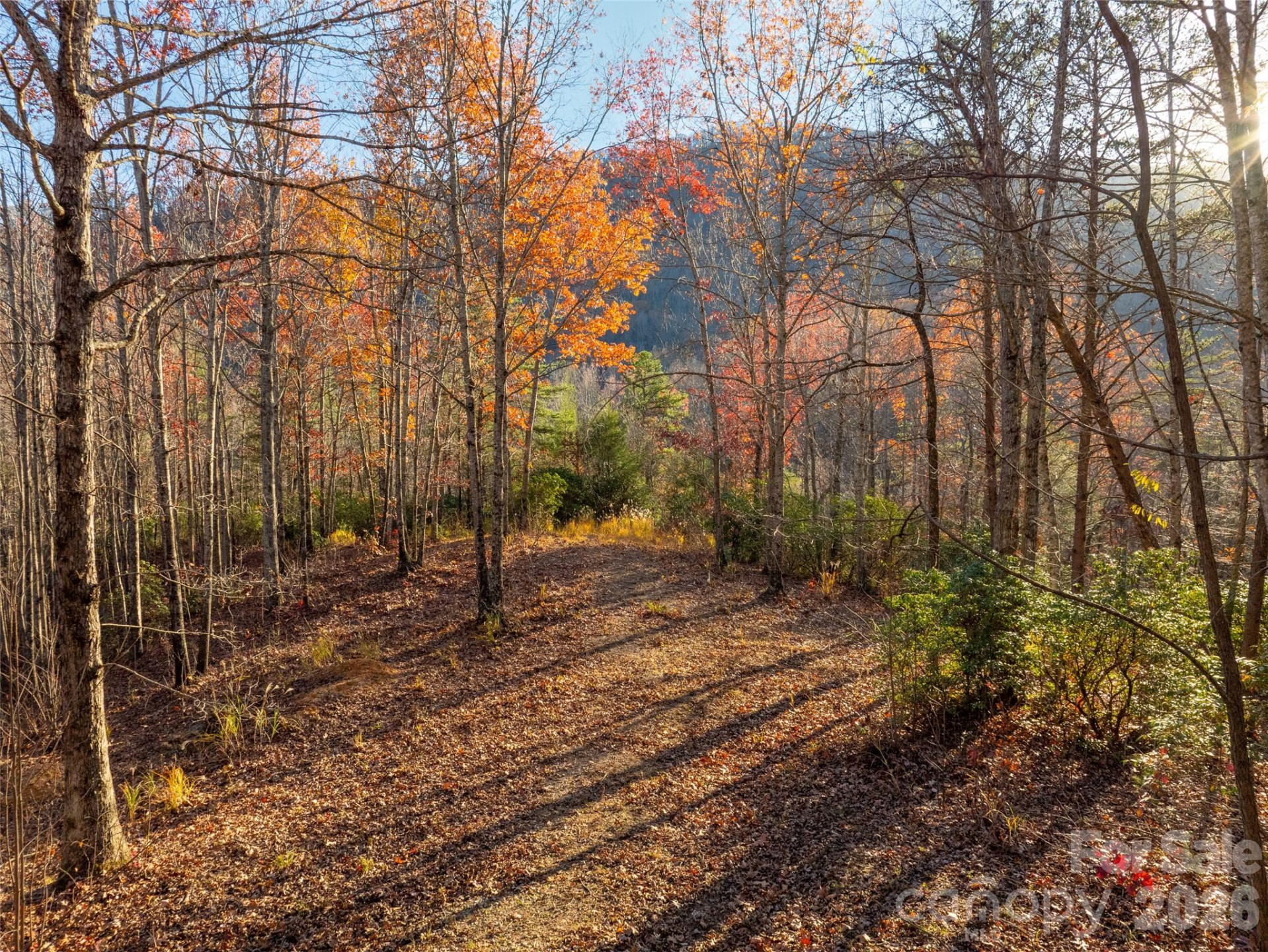 263 Nuthatch Lane - Photo 8