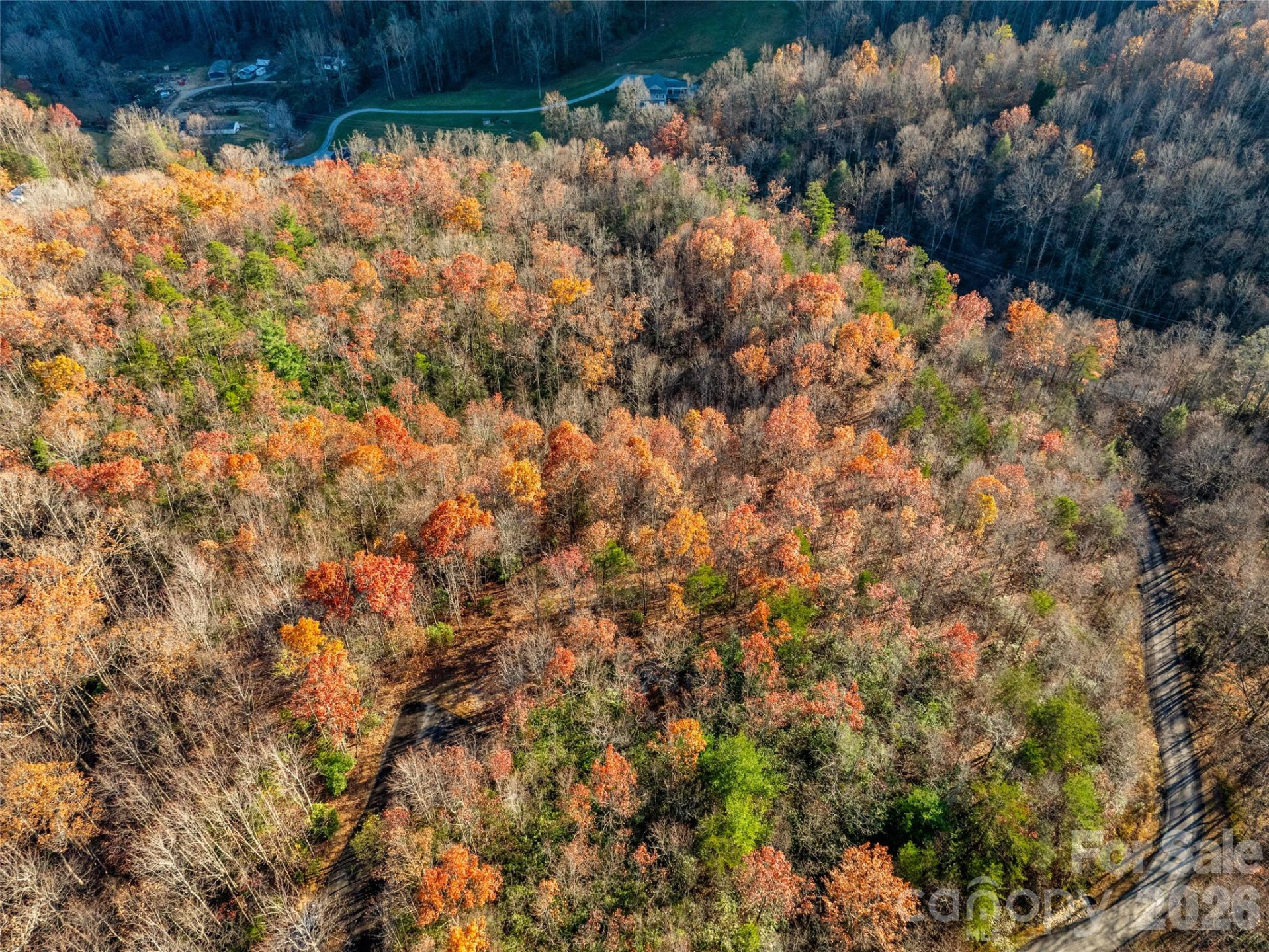 263 Nuthatch Lane - Photo 9