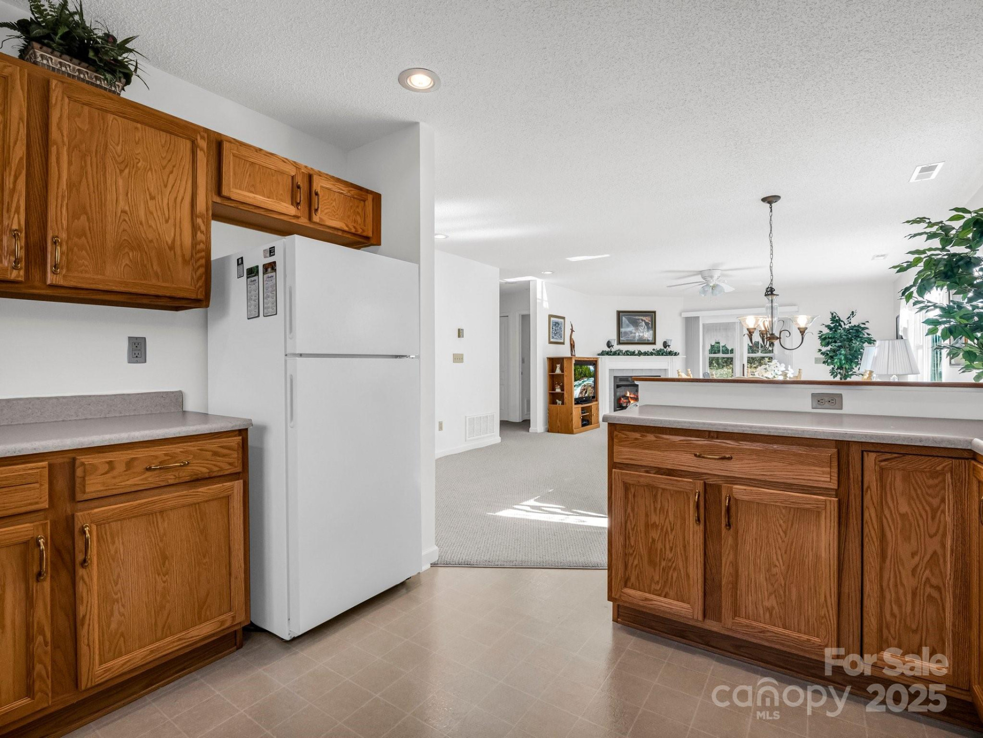 24 Gray Wolf Lane - Photo 9