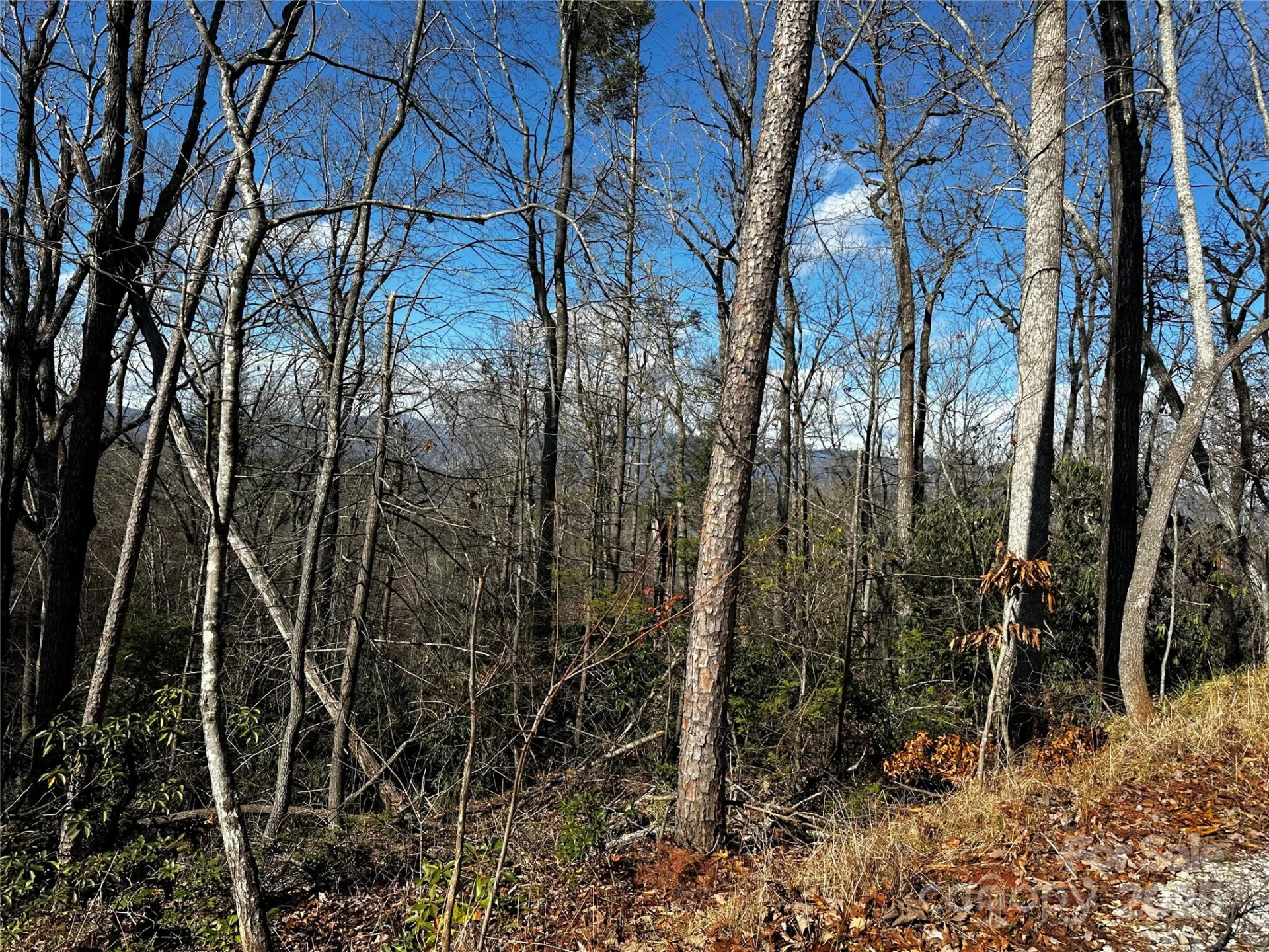 200 Warren Ridge Drive #8 - Photo 12