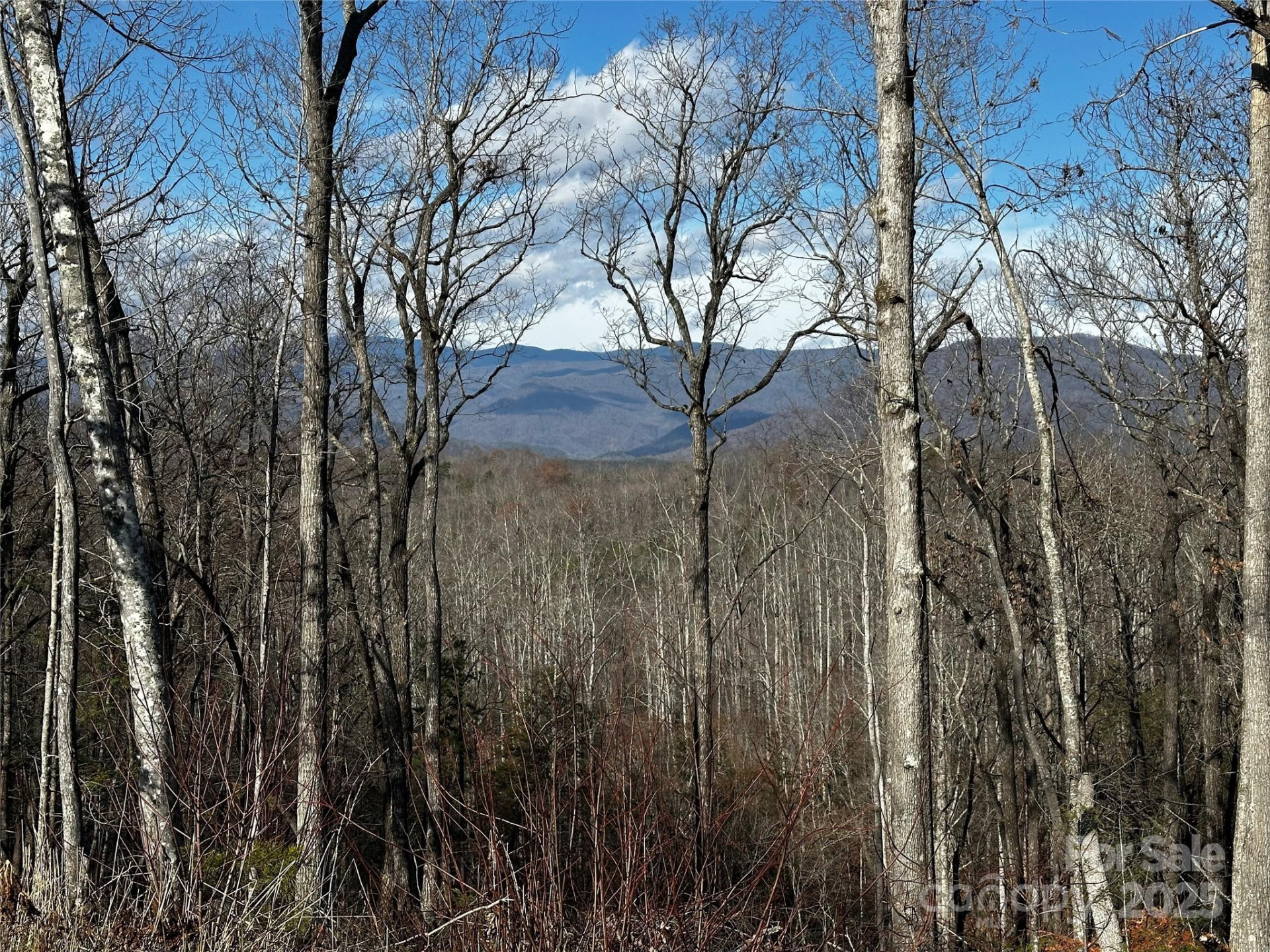 200 Warren Ridge Drive #8 - Photo 6
