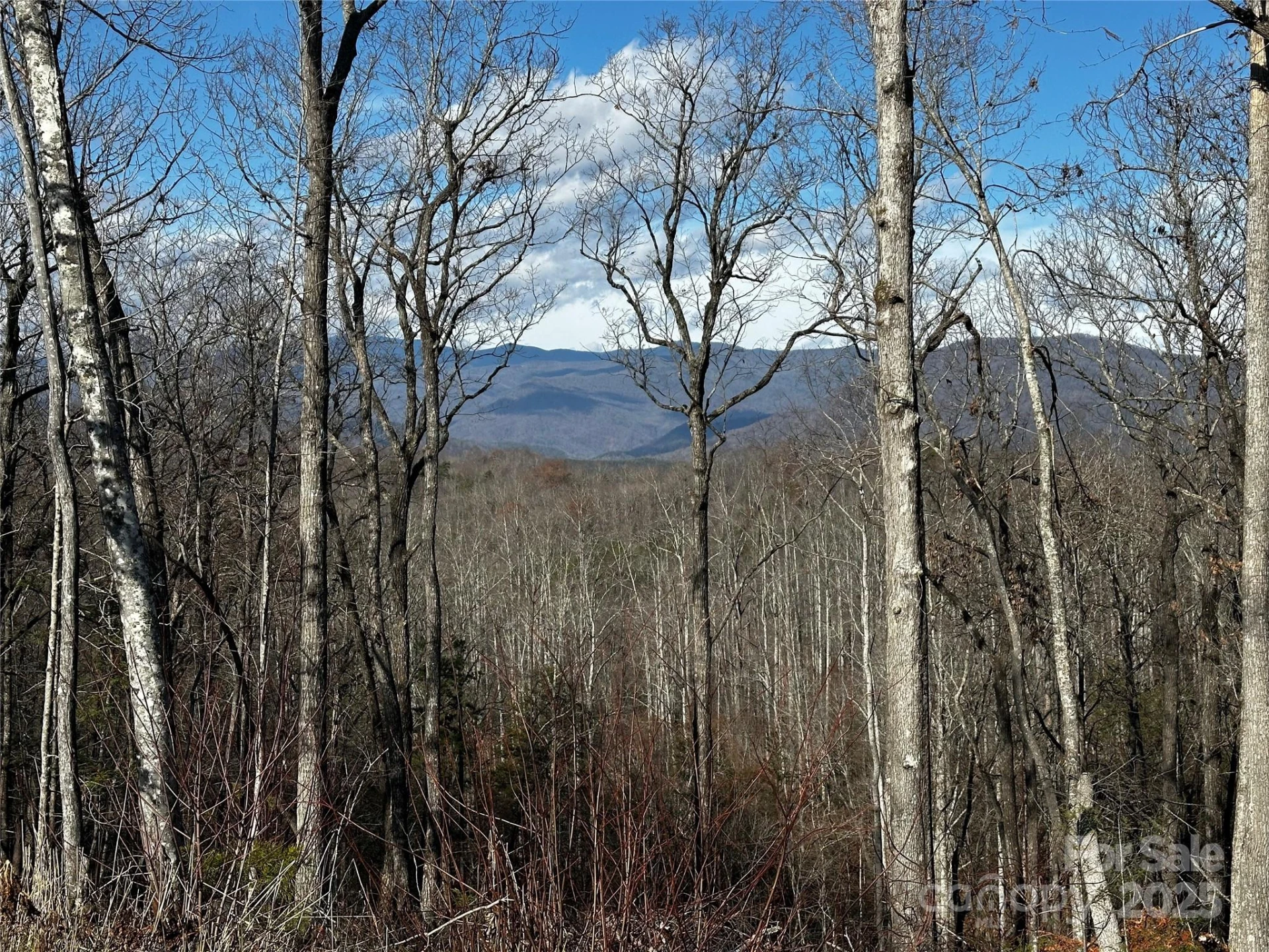 200 Warren Ridge Drive #8 - Photo 6