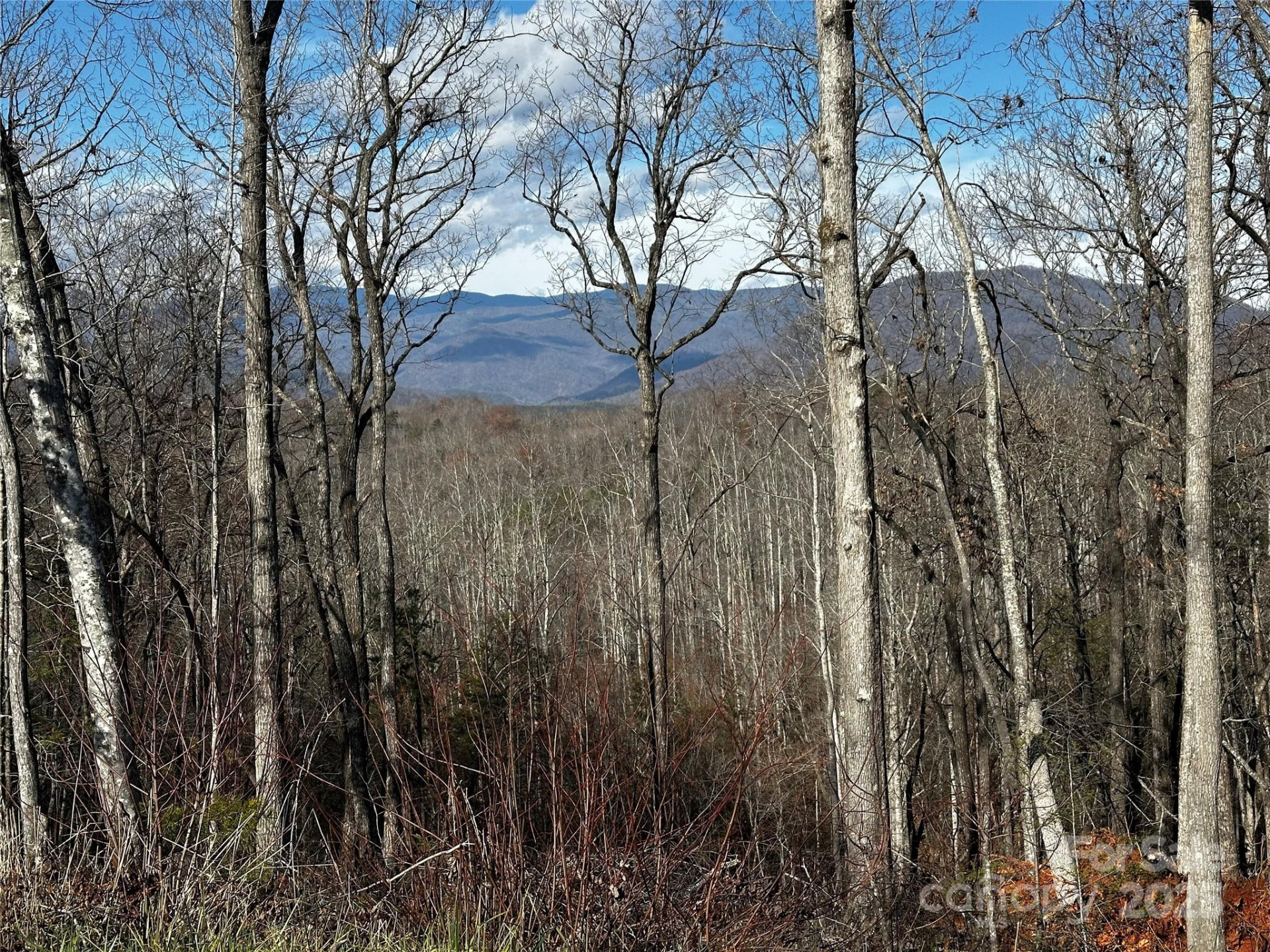 200 Warren Ridge Drive #8 - Photo 8
