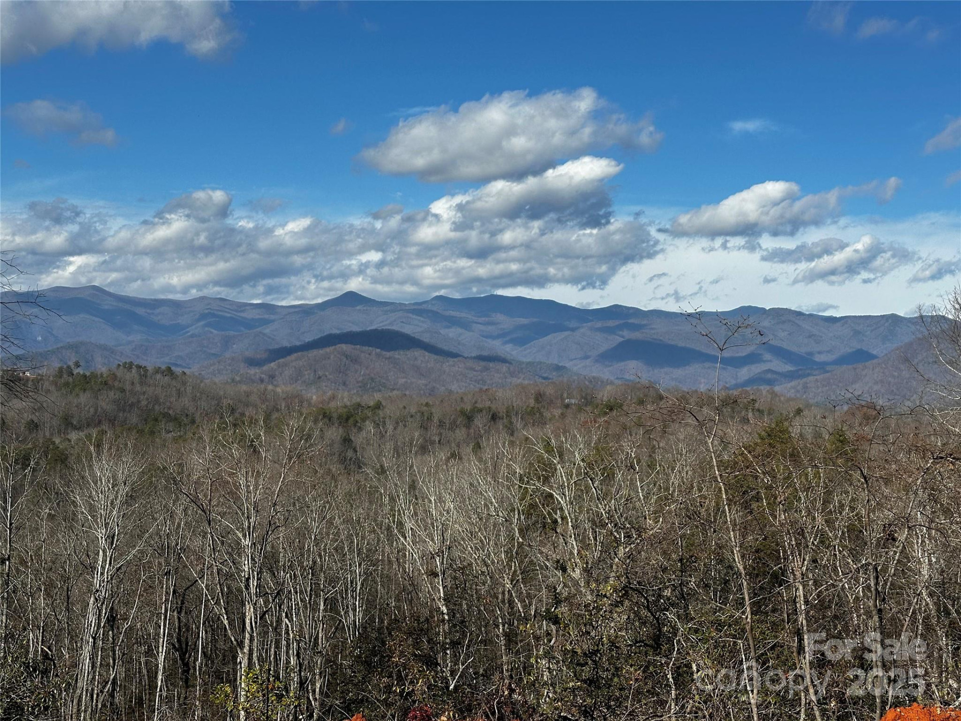 200 Warren Ridge Drive #8 - Photo 9