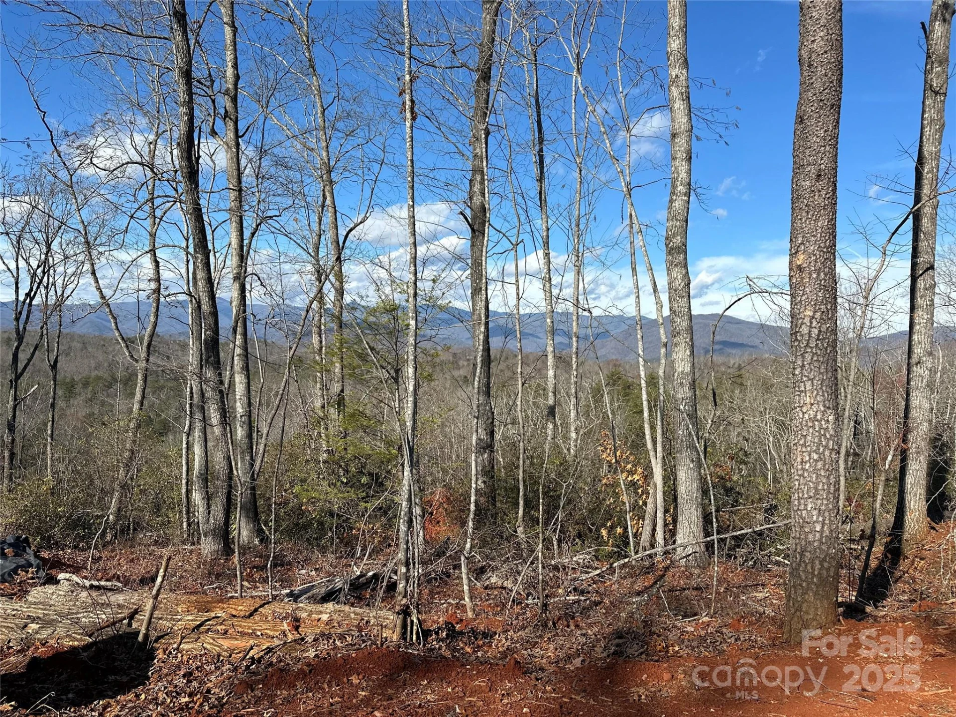 200 Warren Ridge Drive #8 - Photo 10