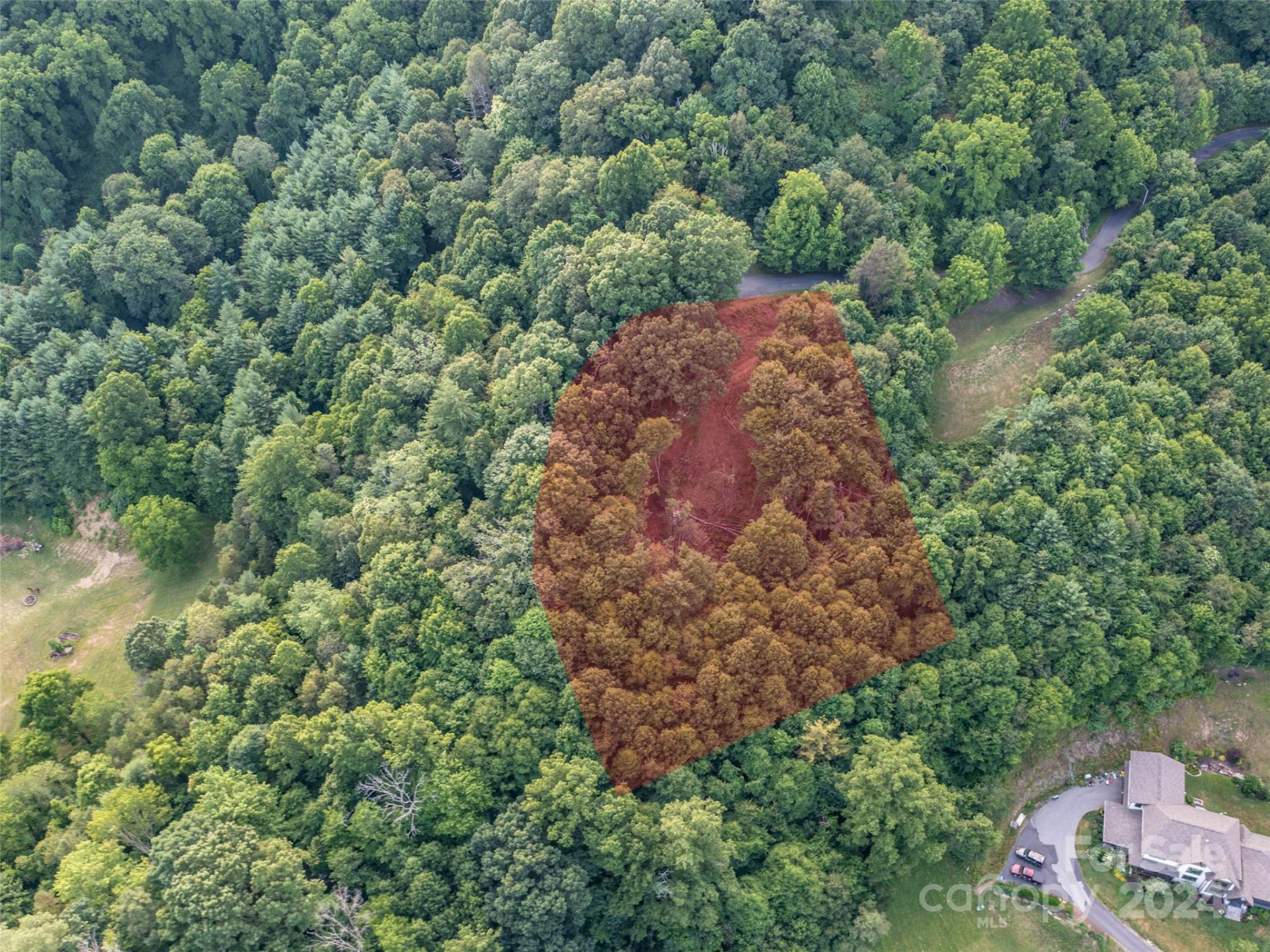 TBD Rimesdale Way - Photo 2