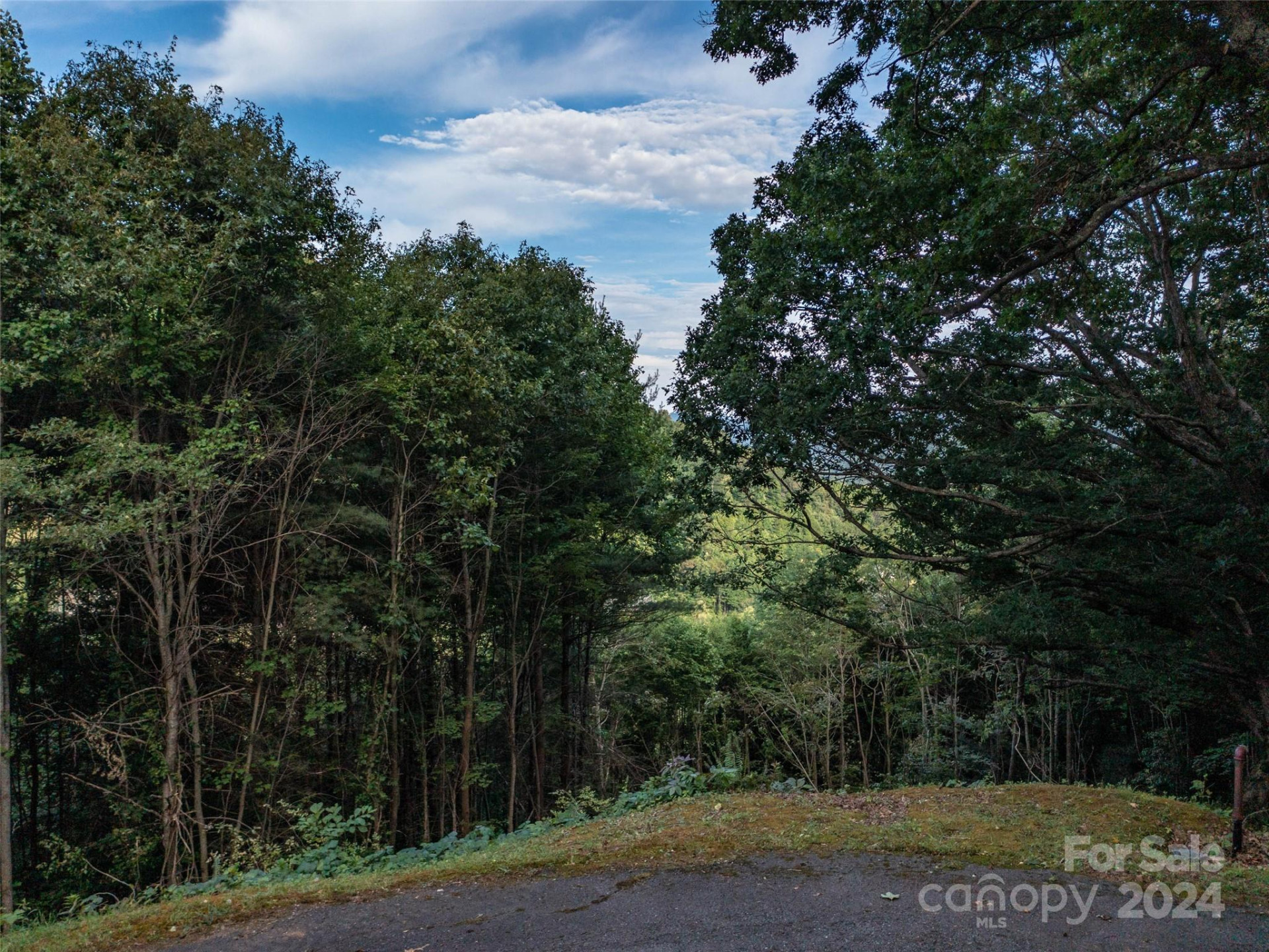 TBD Rimesdale Way - Photo 11