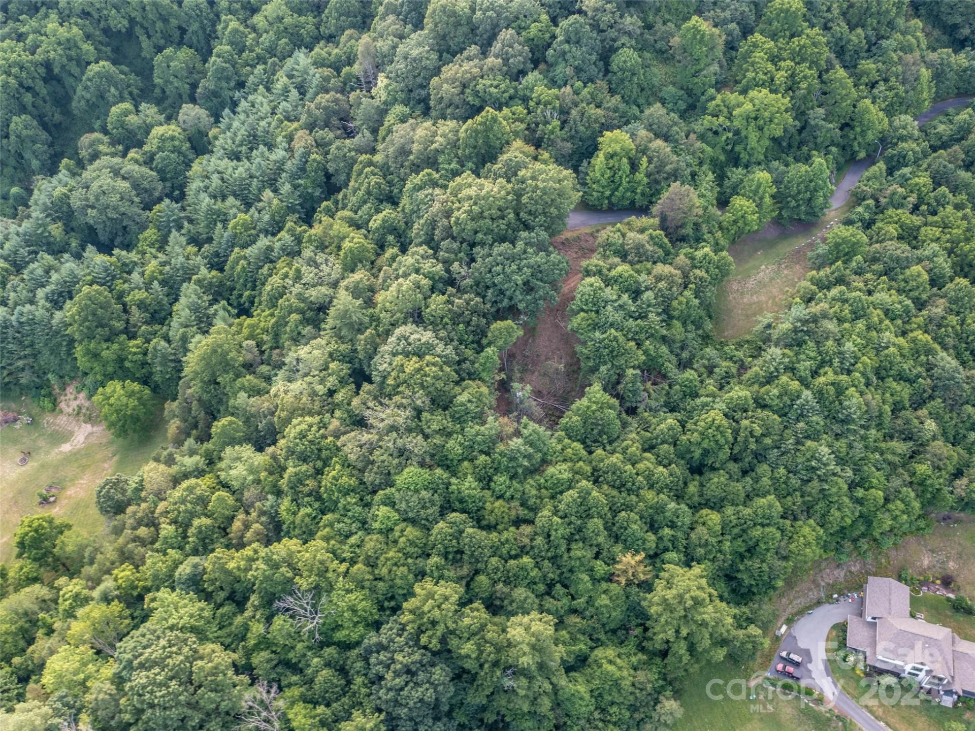 TBD Rimesdale Way - Photo 19