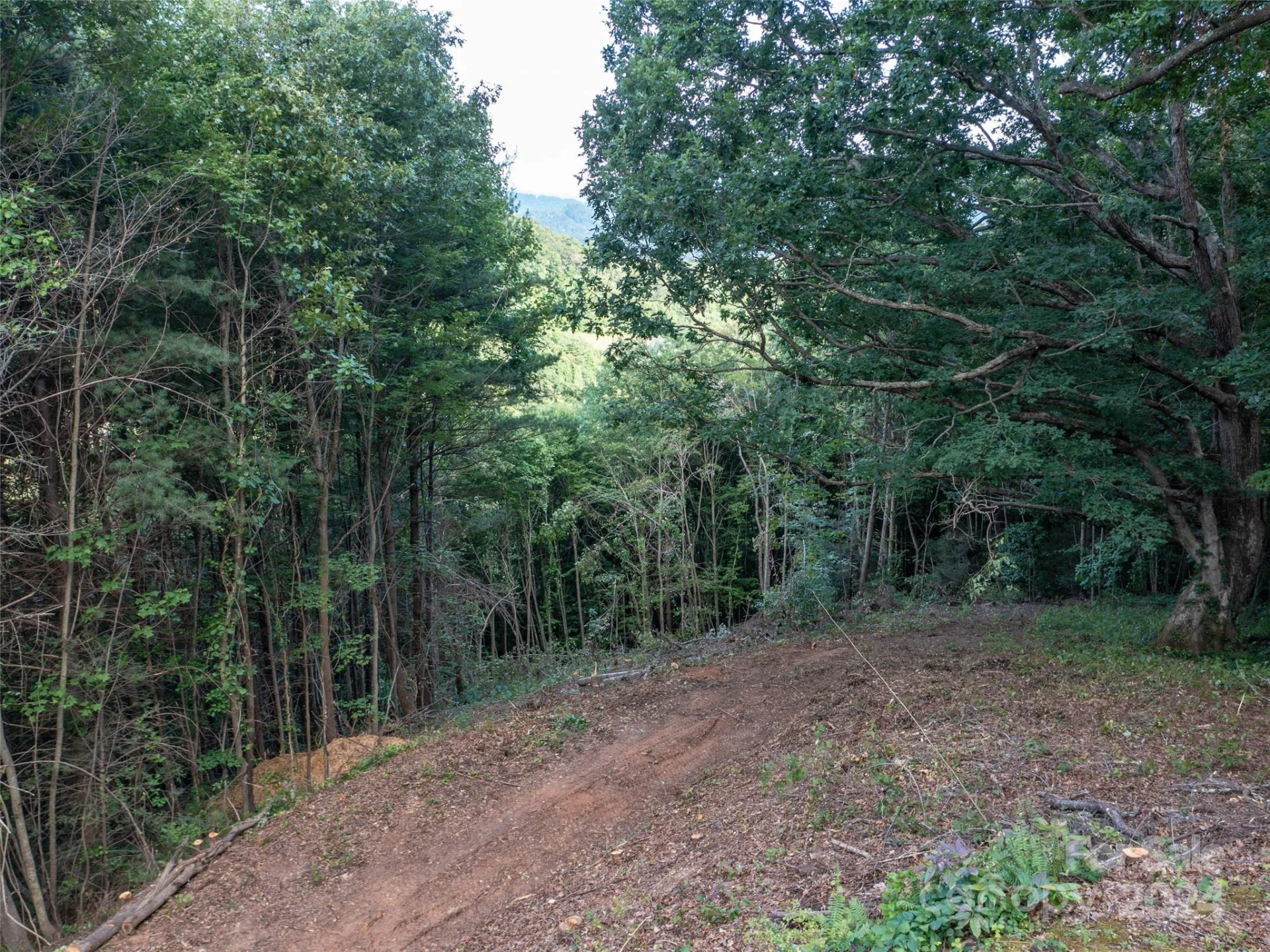 TBD Rimesdale Way - Photo 23