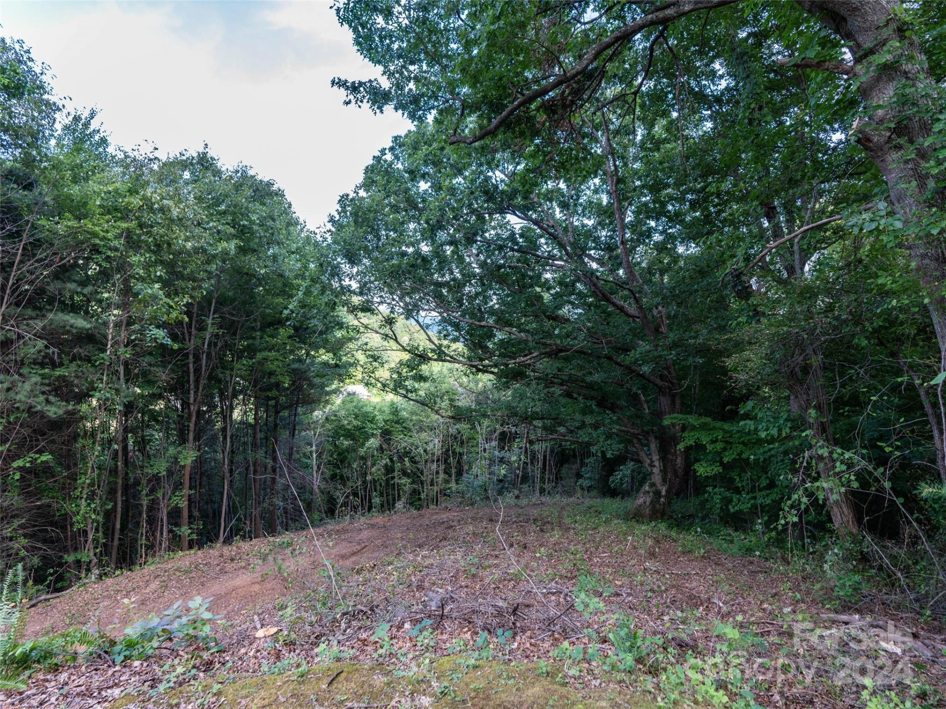 TBD Rimesdale Way - Photo 4