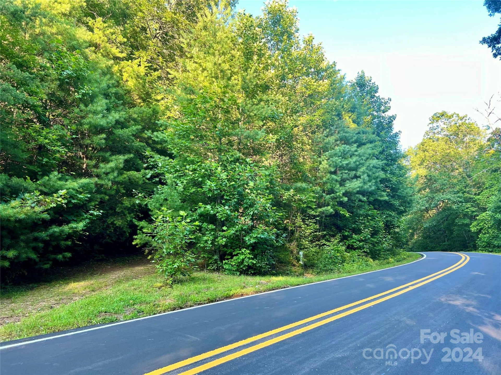 TBD On SR 1309 Road