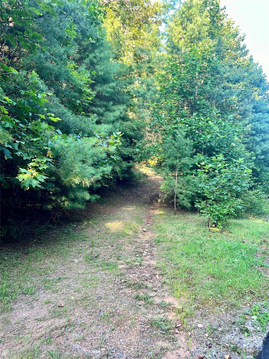 TBD On SR 1309 Road - Photo 2