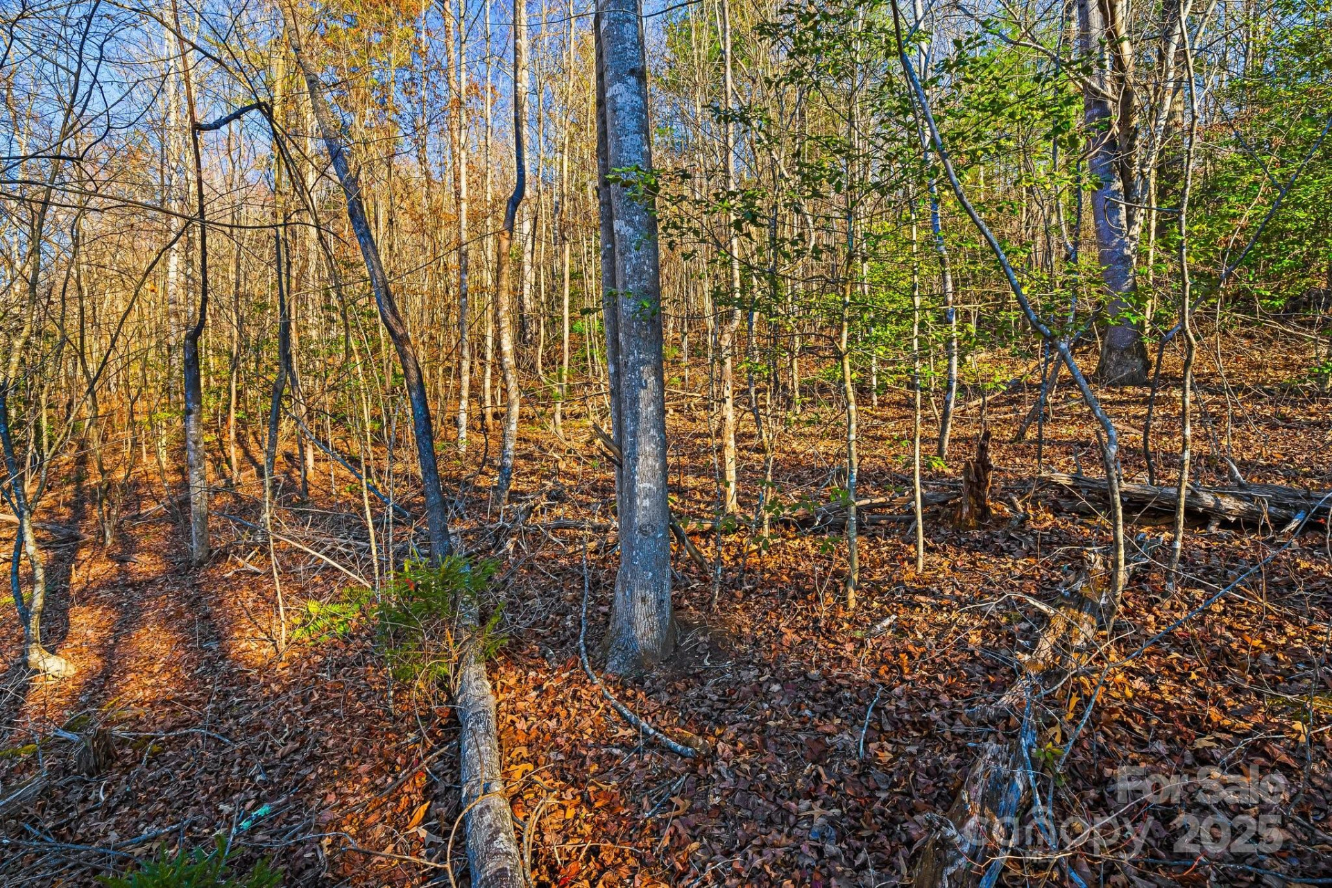 99999 Willow Creek Drive #1 - Photo 4