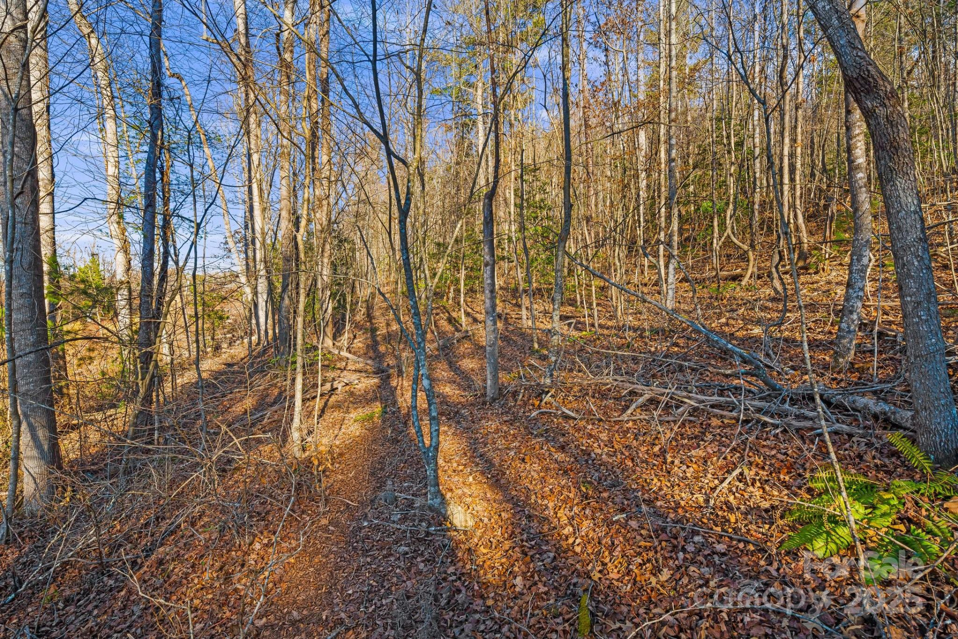 99999 Willow Creek Drive #1 - Photo 5