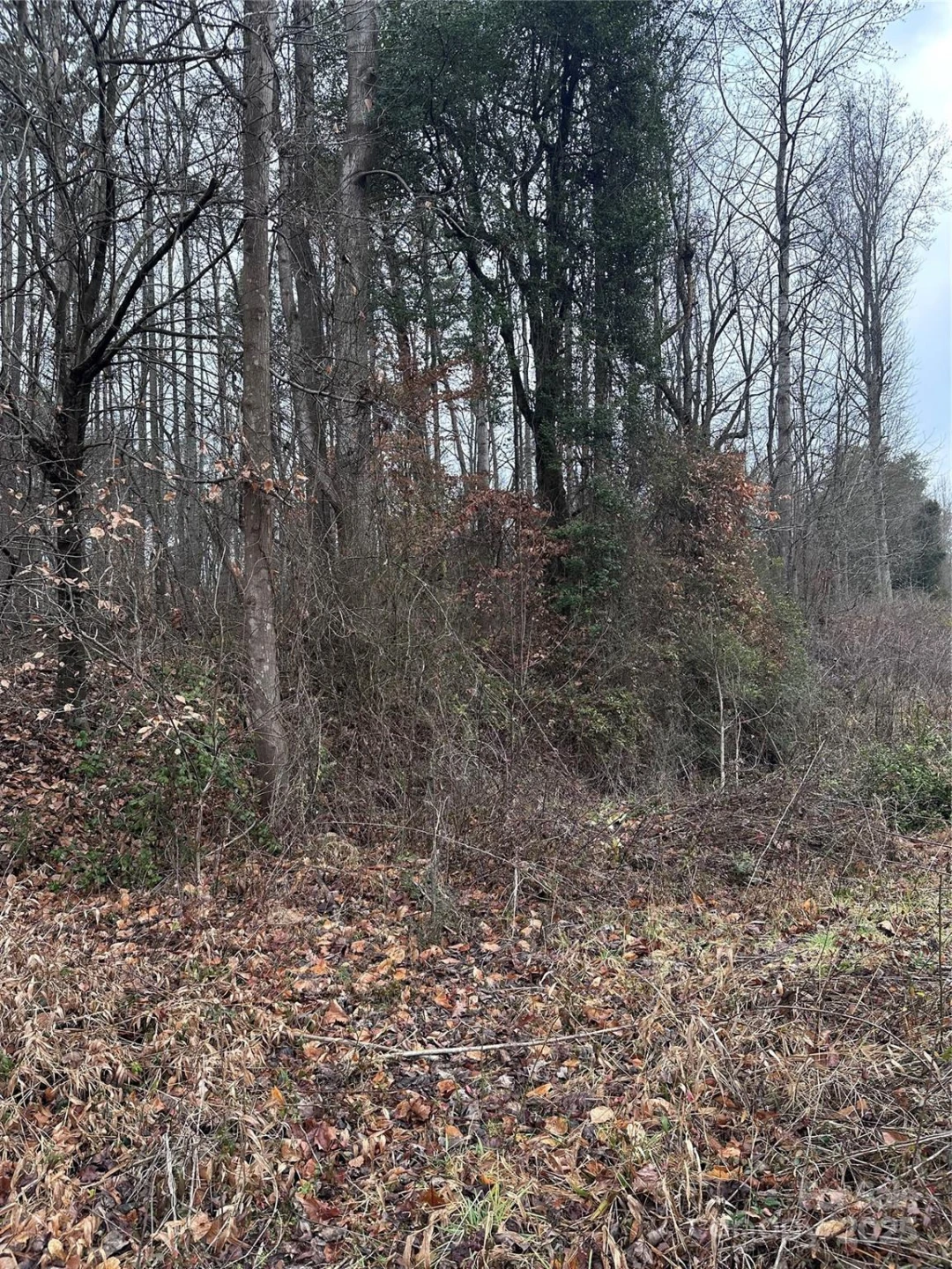 1122 State Street - Photo 4