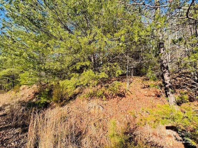 0 Cross Creek Drive #68 - Photo 3