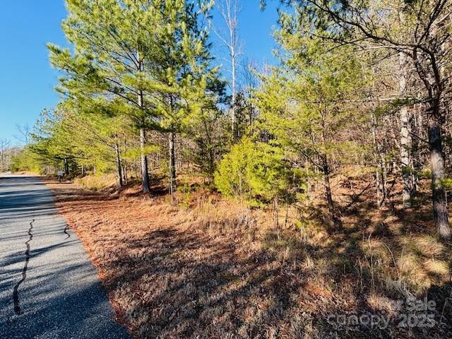 0 Cross Creek Drive #68 - Photo 5