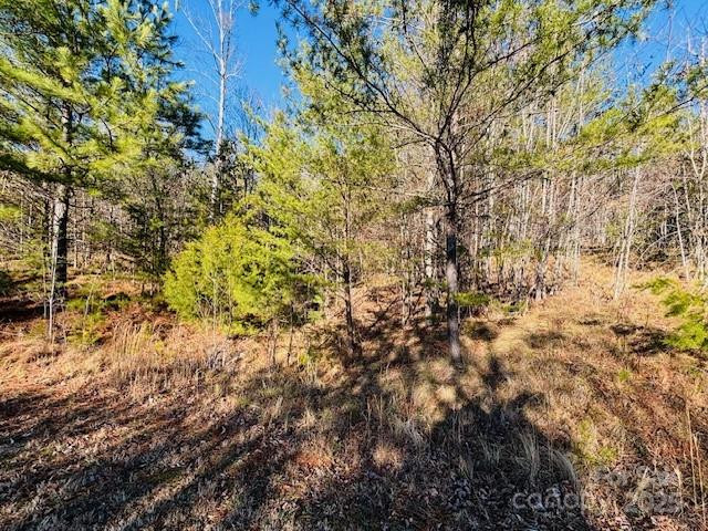 0 Cross Creek Drive #68 - Photo 6