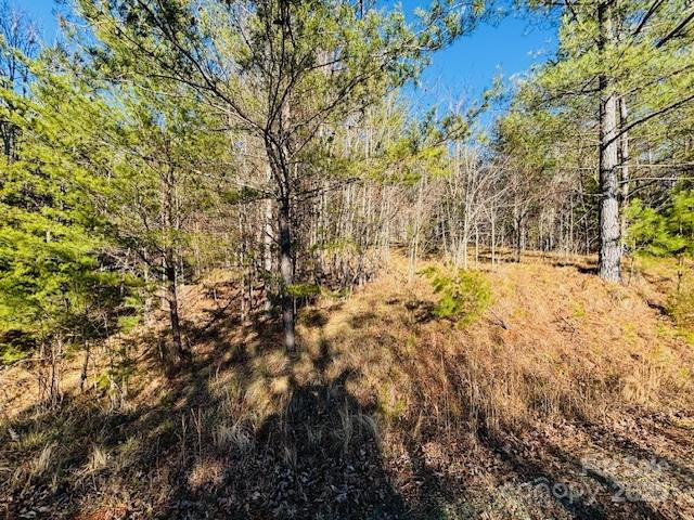 0 Cross Creek Drive #68 - Photo 7