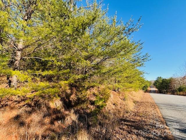 0 Cross Creek Drive #68 - Photo 8