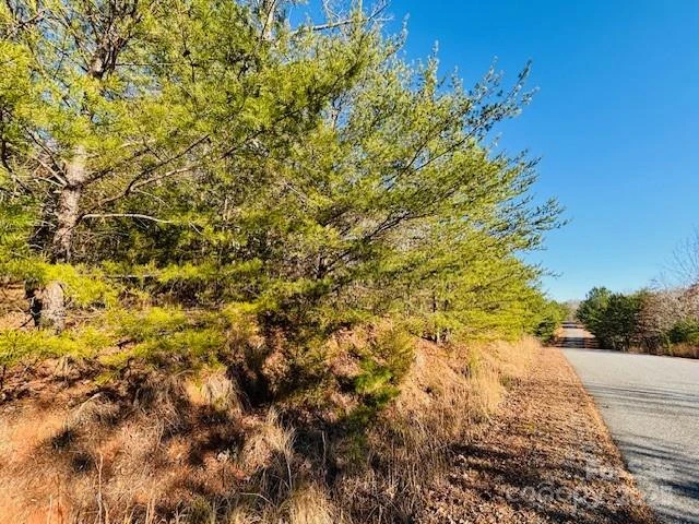 0 Cross Creek Drive #68 - Photo 8
