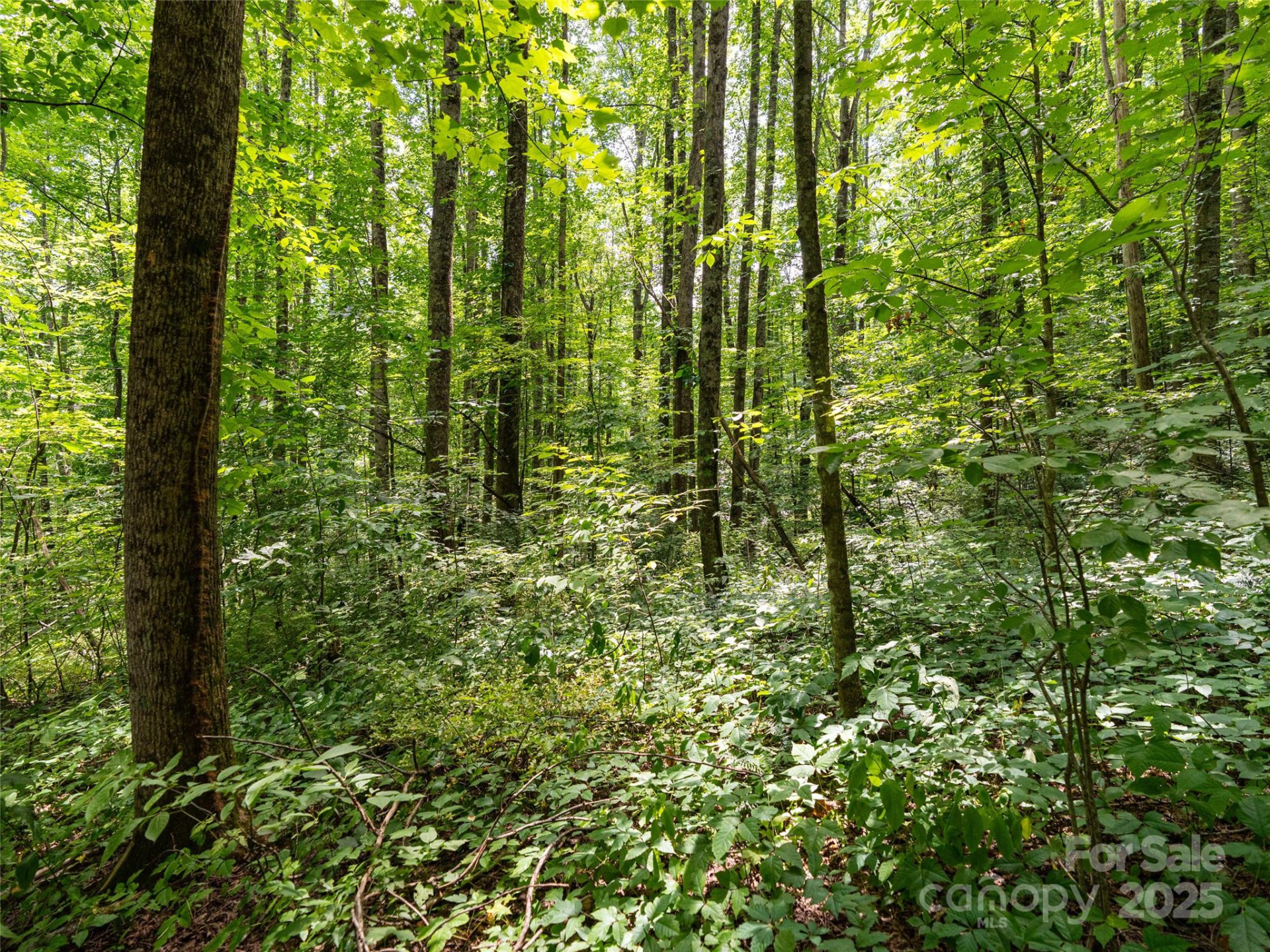 4 Roaring Creek Lane - Photo 11