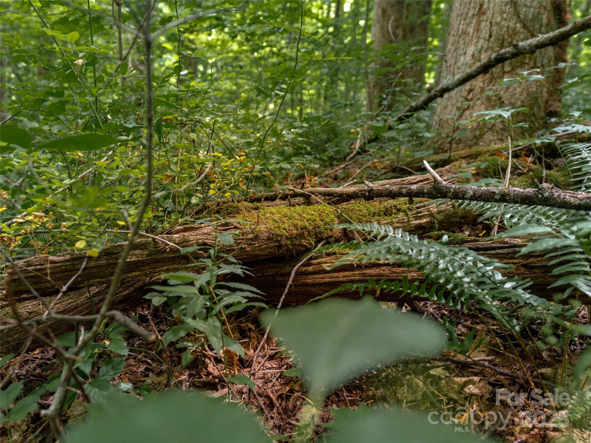 4 Roaring Creek Lane - Photo 14