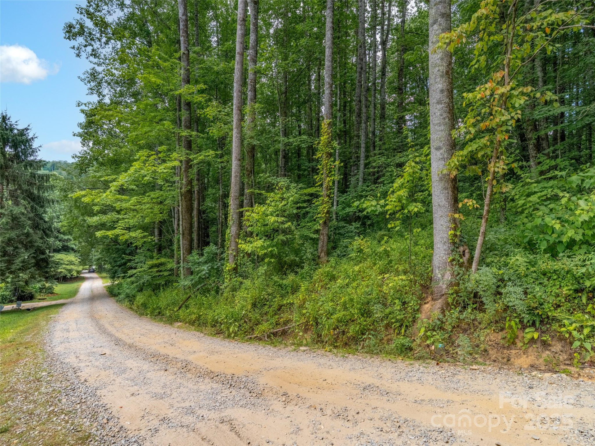 4 Roaring Creek Lane - Photo 16