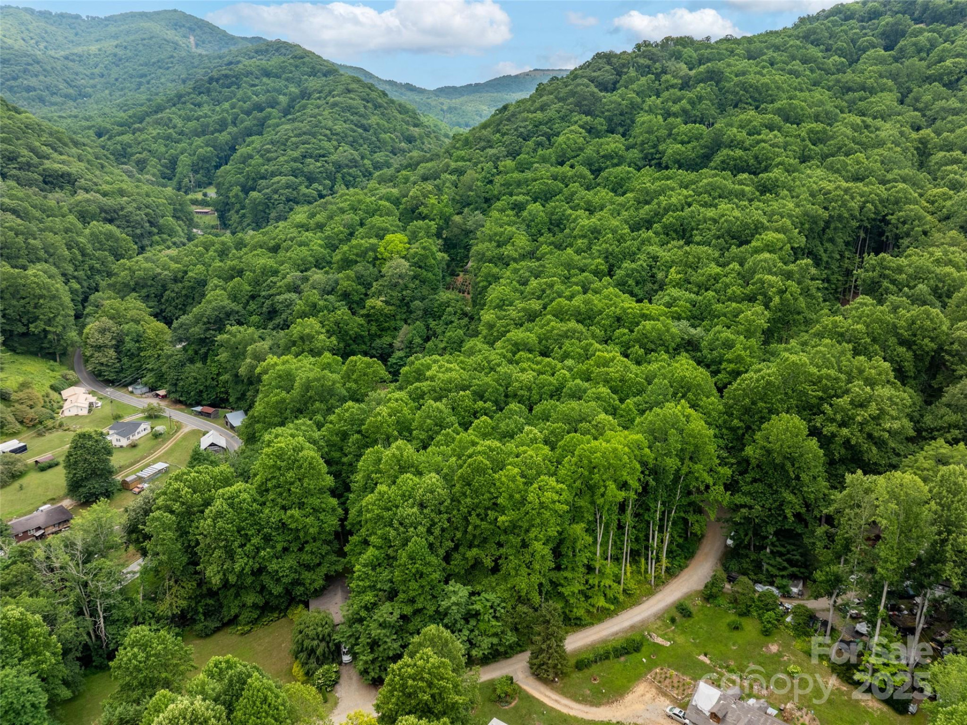 4 Roaring Creek Lane - Photo 3