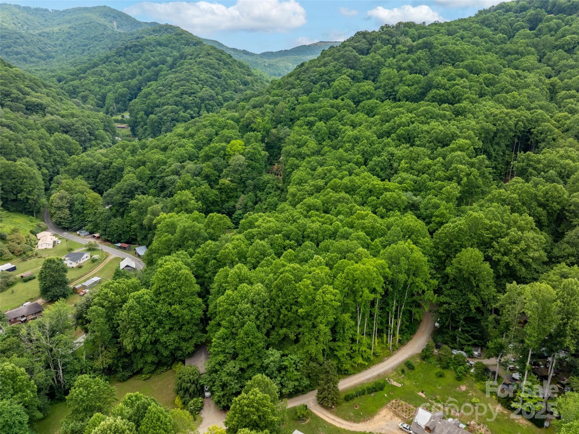 4 Roaring Creek Lane - Photo 3
