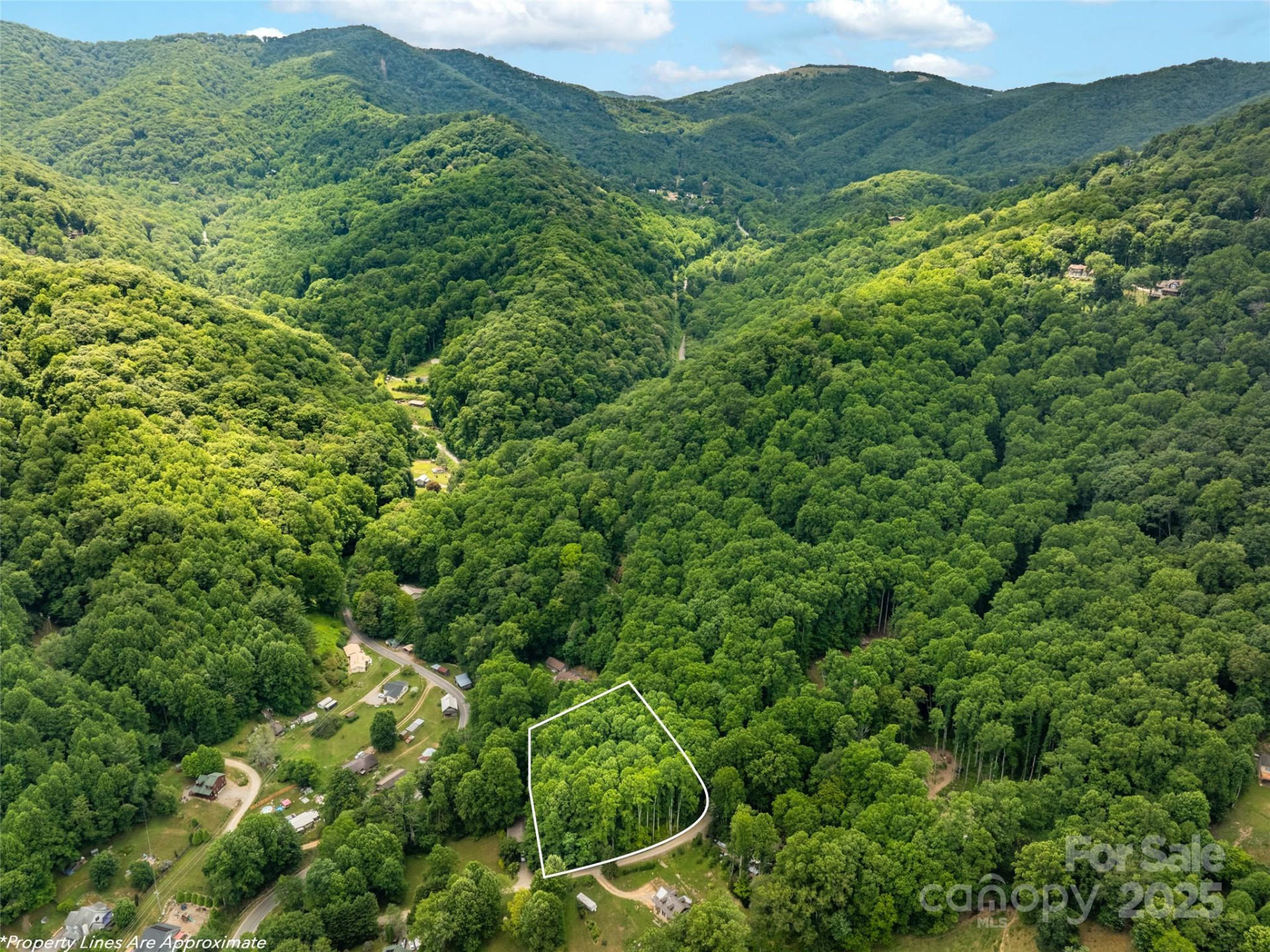 4 Roaring Creek Lane - Photo 4