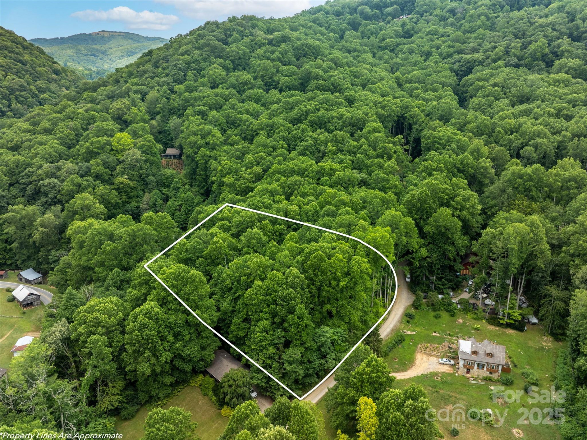 4 Roaring Creek Lane - Photo 6