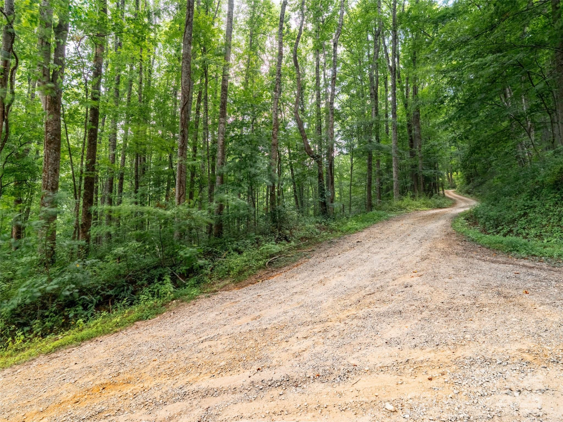 4 Roaring Creek Lane - Photo 8