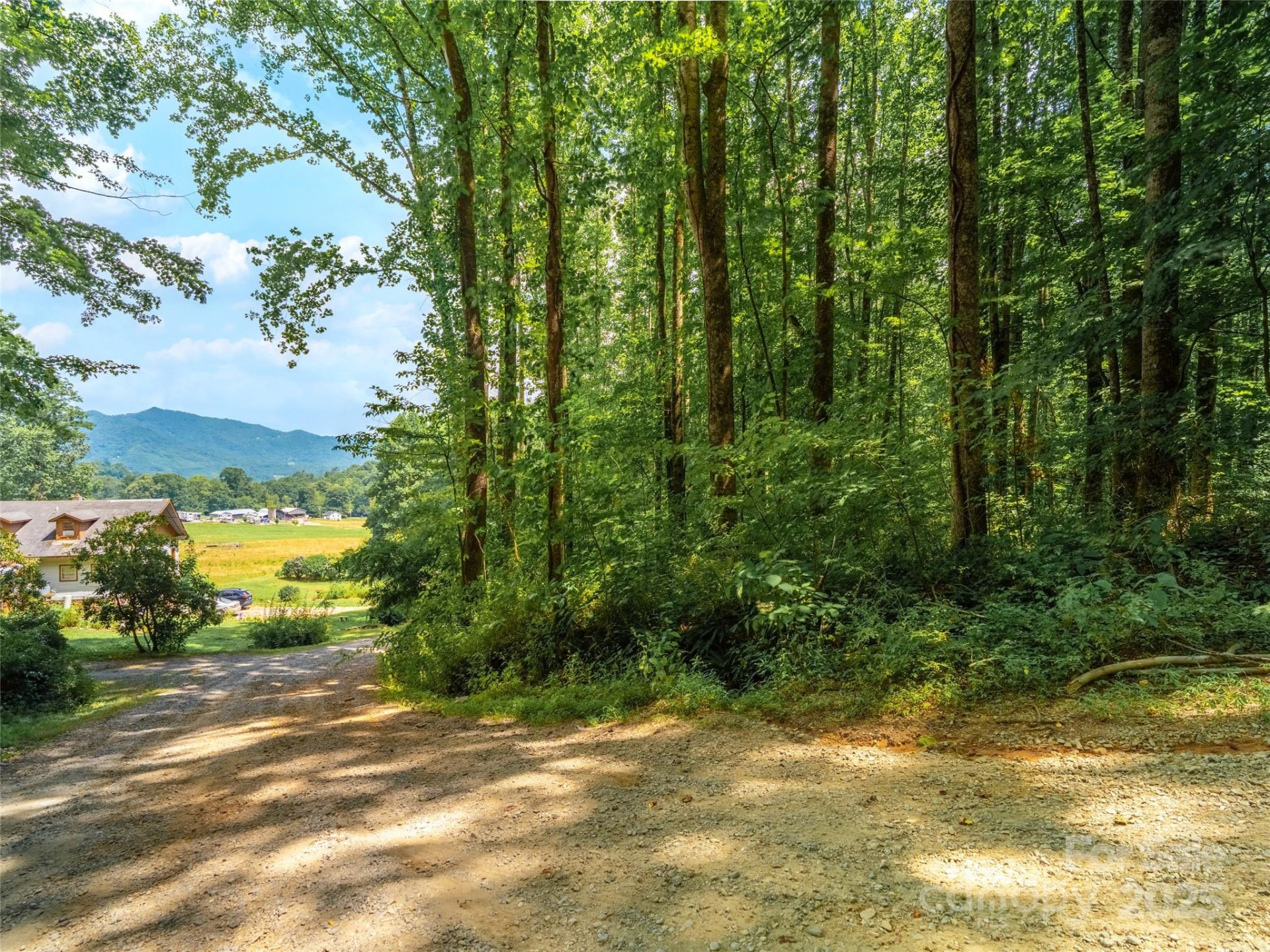 4 Roaring Creek Lane - Photo 9