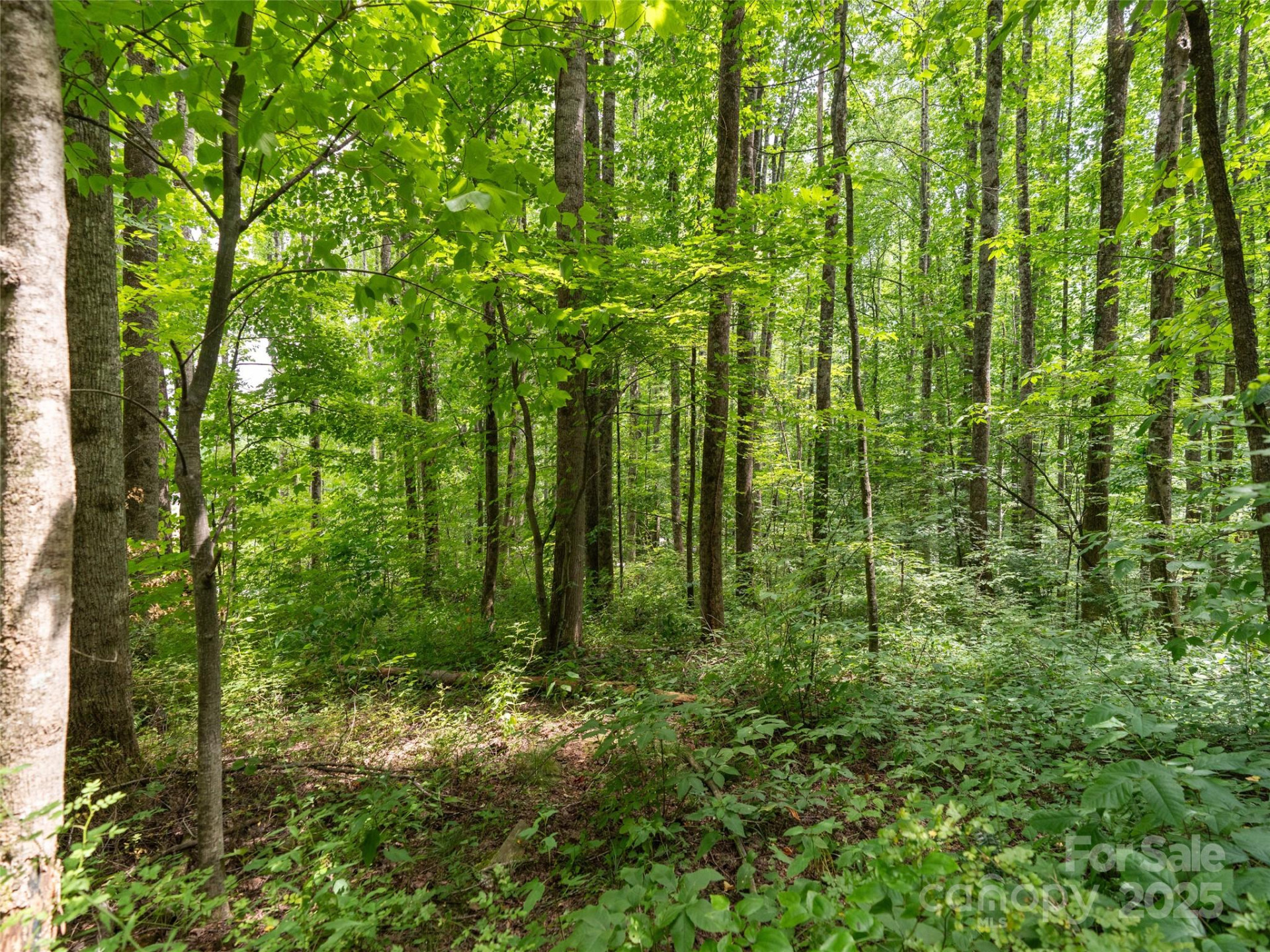 4 Roaring Creek Lane - Photo 10