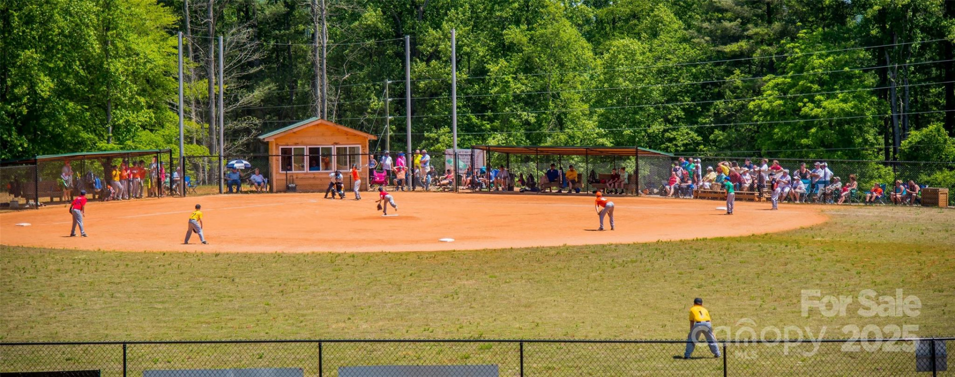 3645 Yancey Road - Photo 14