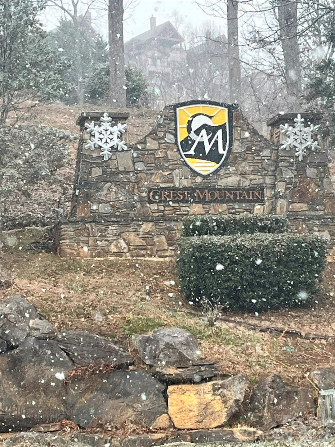 49 Ben Lippen School Road #2/PH1A - Photo 11