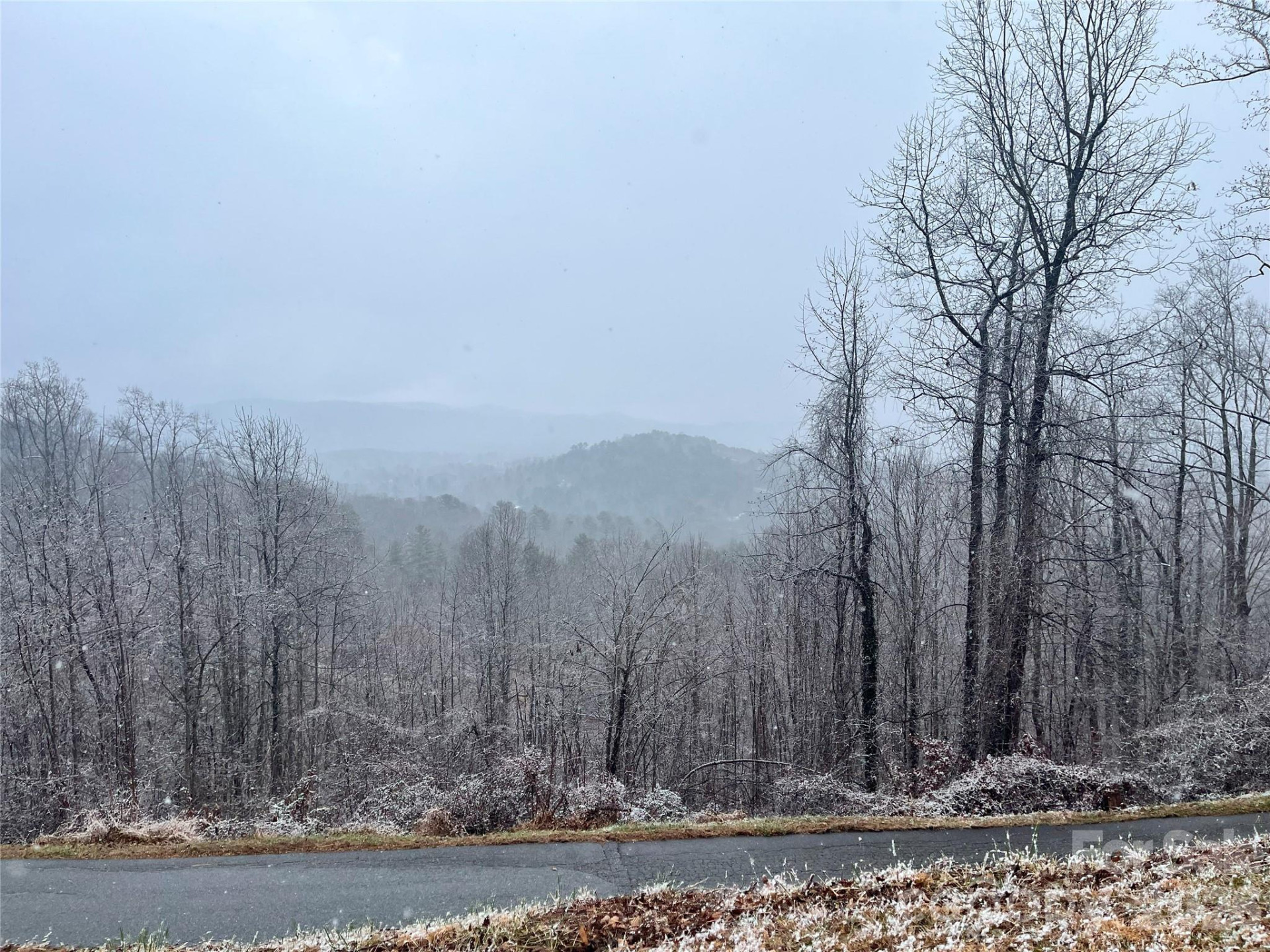 49 Ben Lippen School Road #2/PH1A - Photo 12