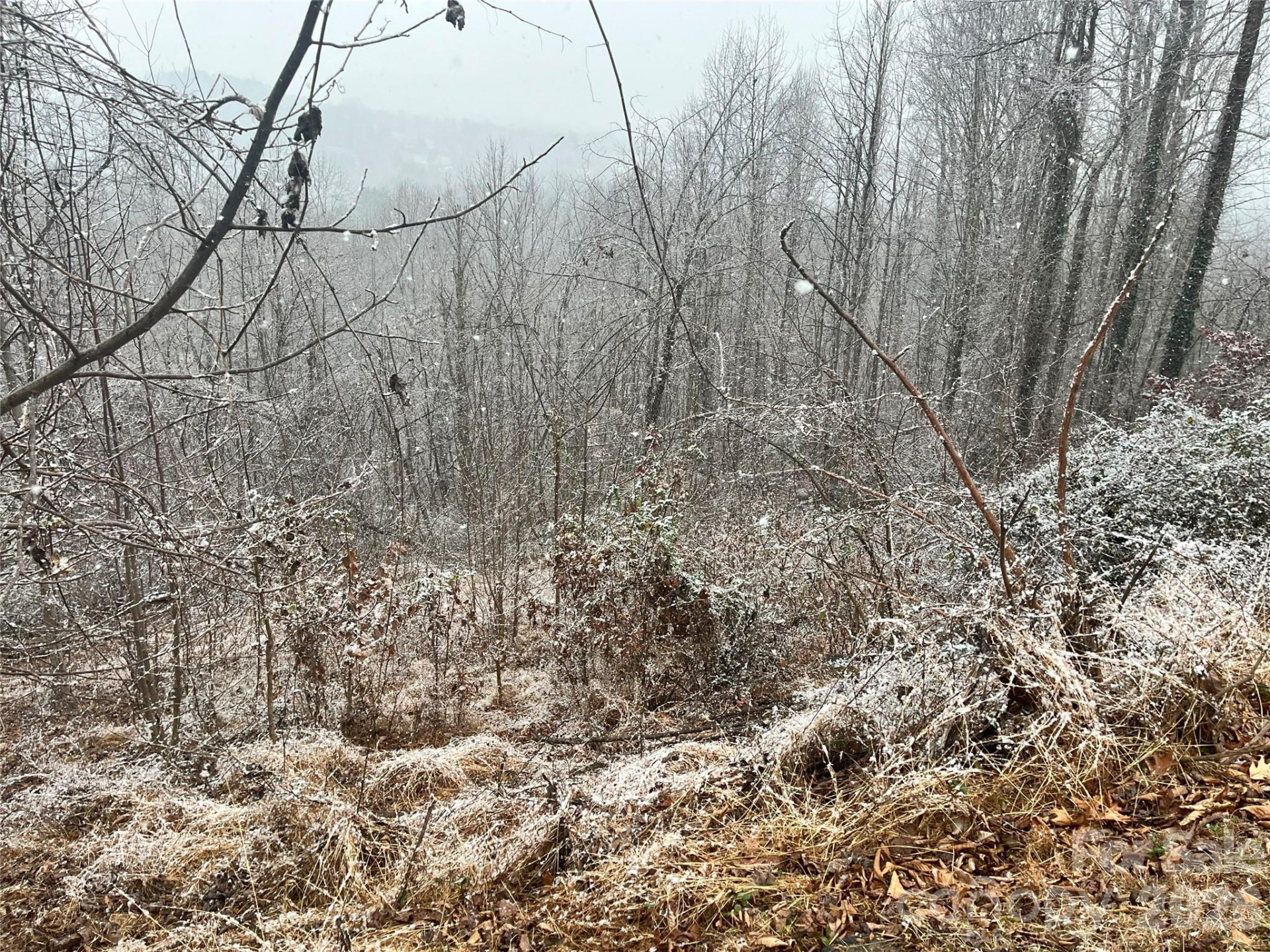 49 Ben Lippen School Road #2/PH1A - Photo 13