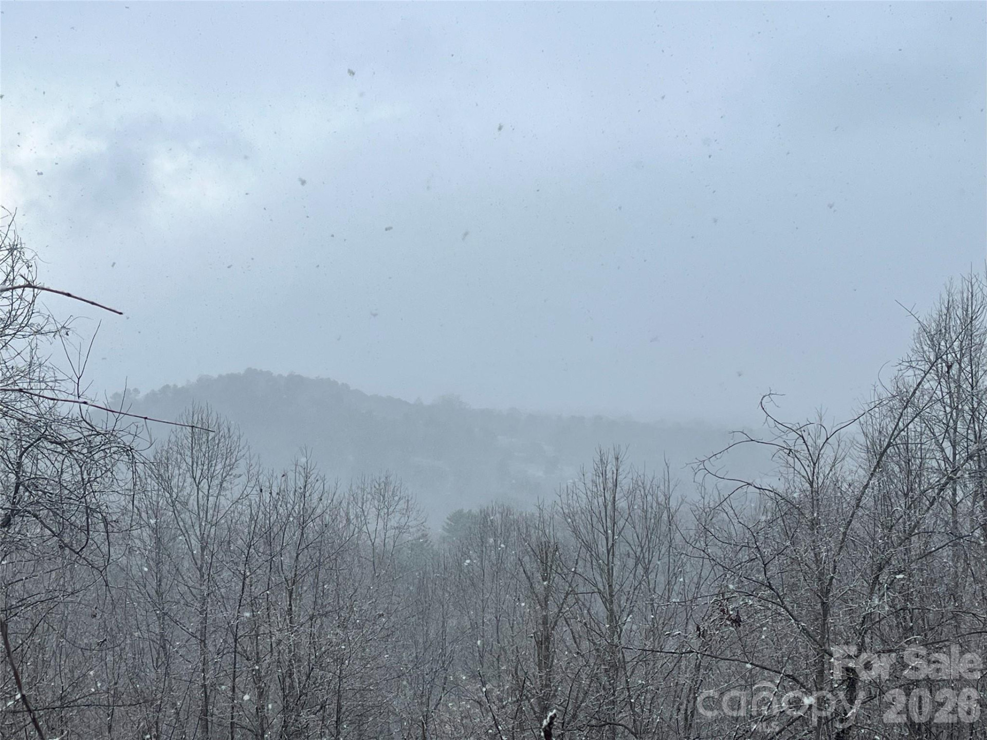 49 Ben Lippen School Road #2/PH1A - Photo 14