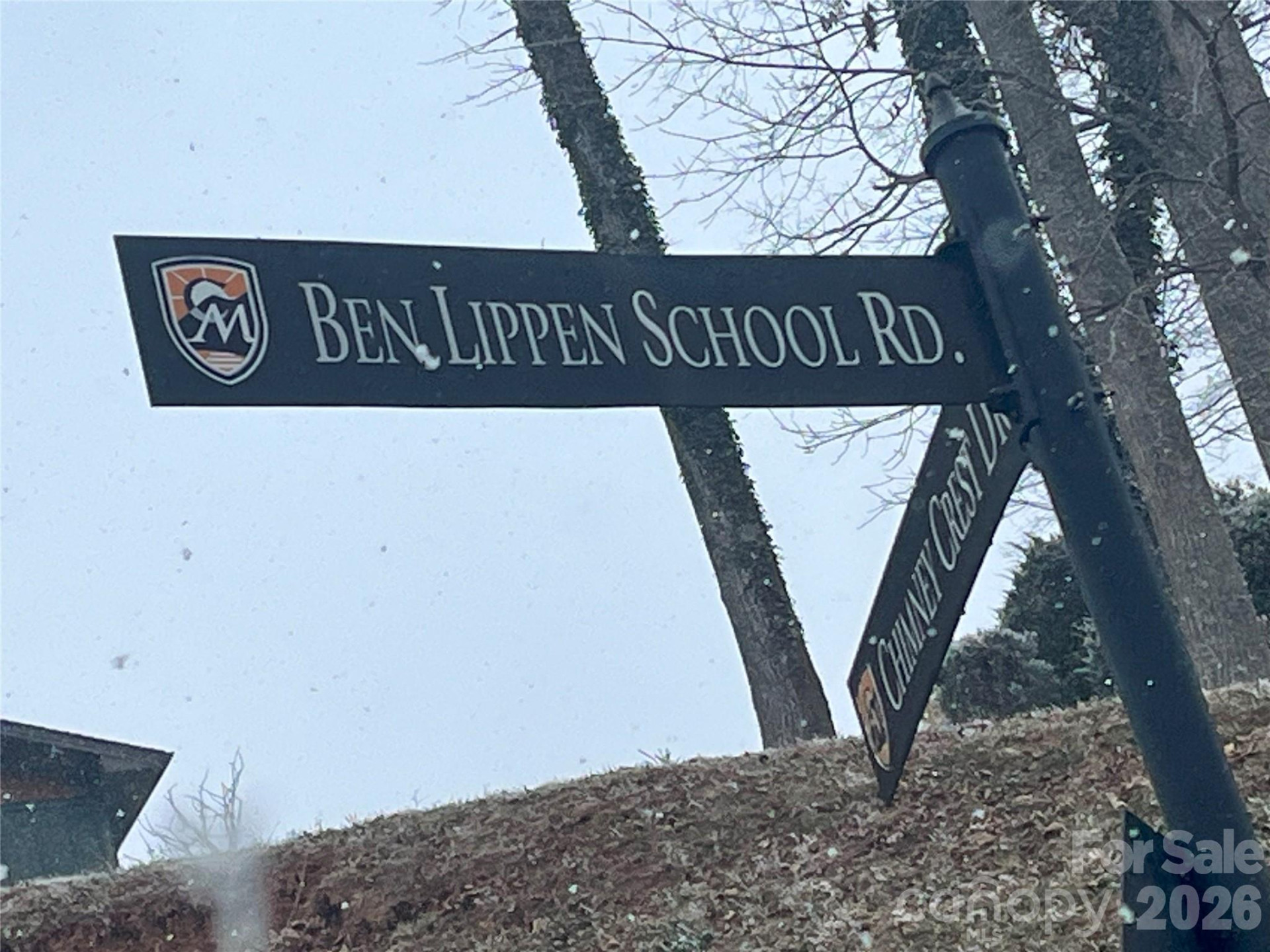 49 Ben Lippen School Road #2/PH1A - Photo 15