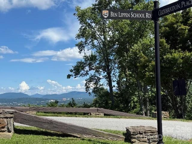 49 Ben Lippen School Road #2/PH1A - Photo 3