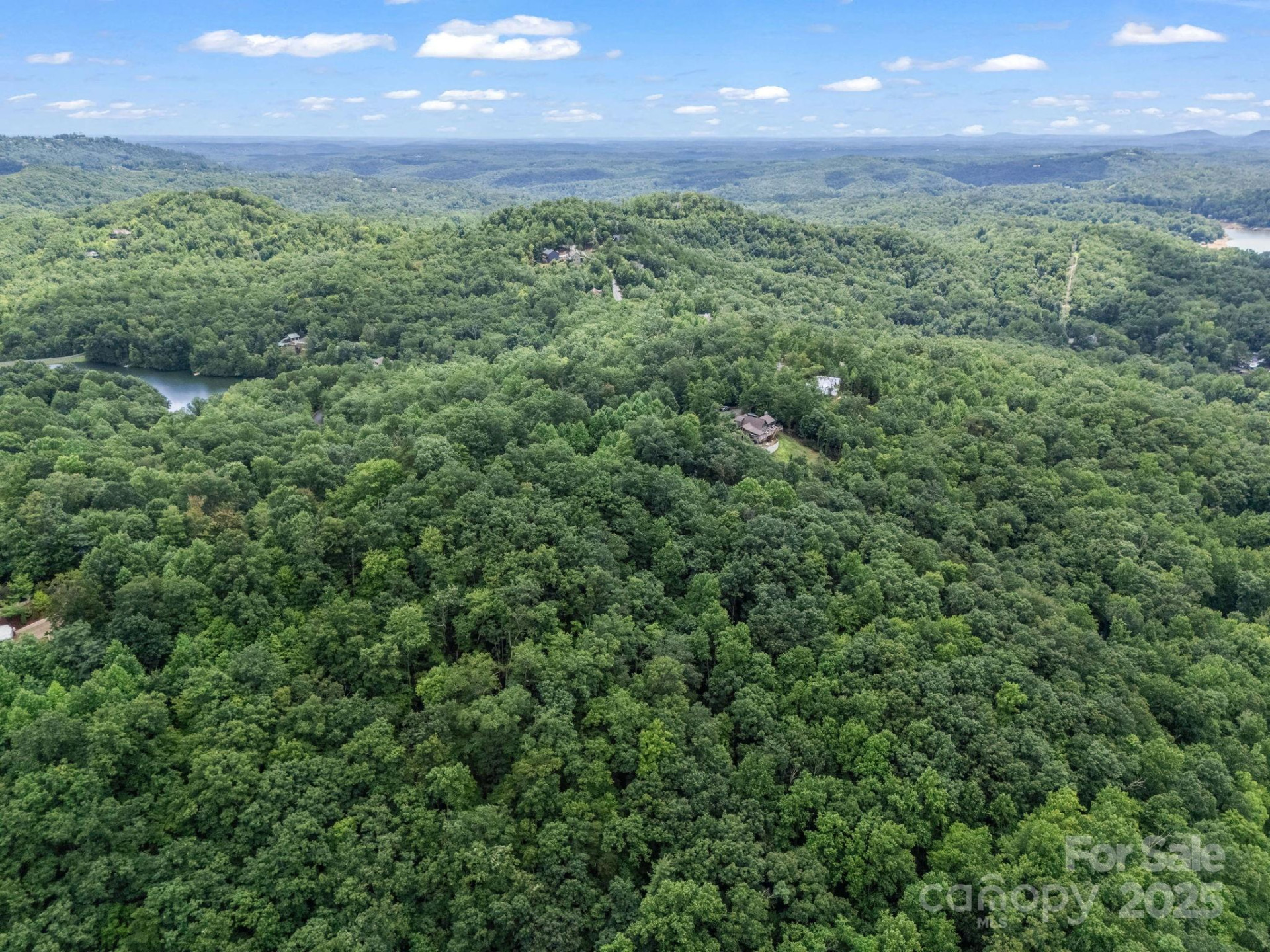 Lot 42 Hawks Nest Trail - Photo 11