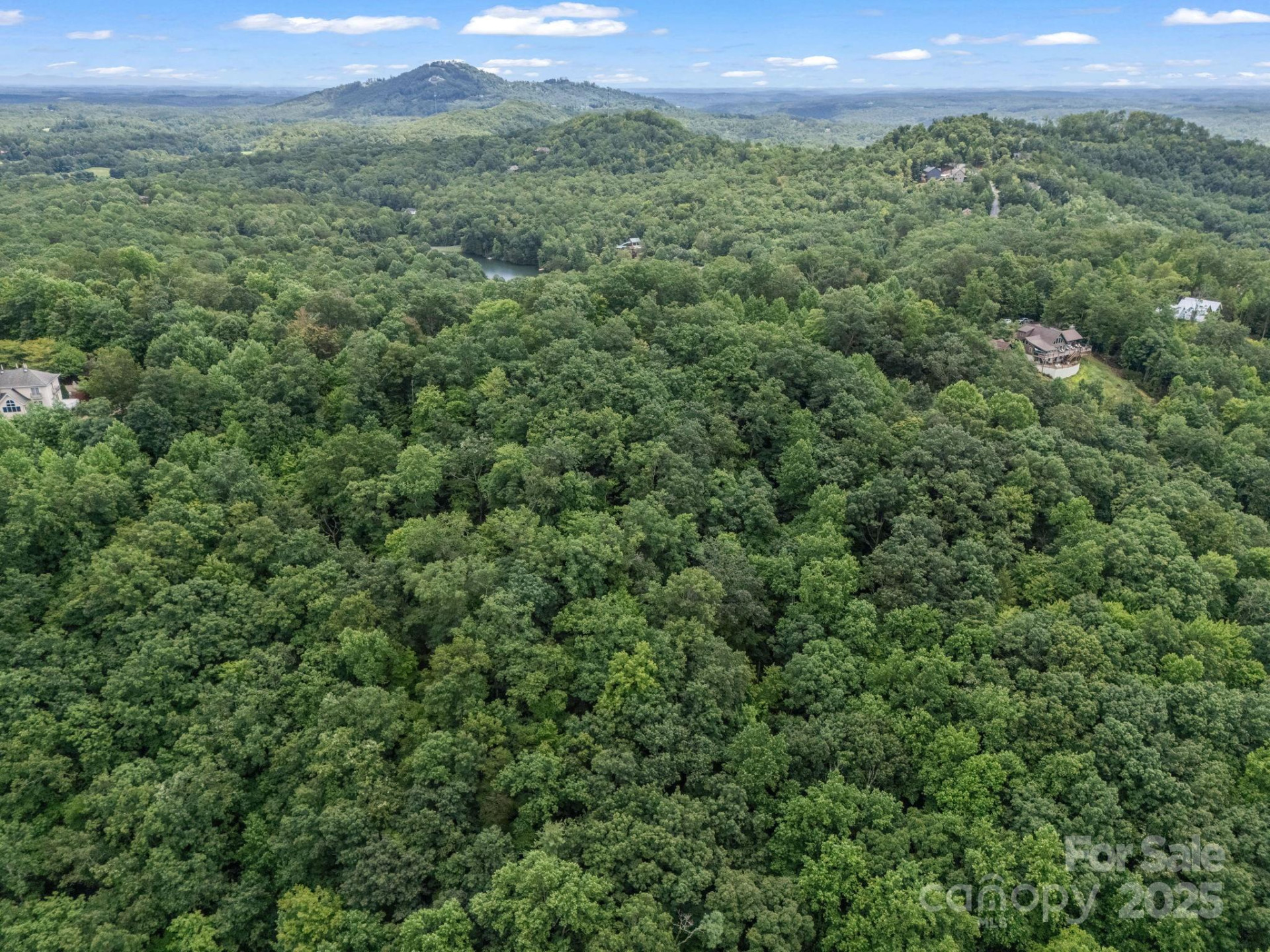 Lot 42 Hawks Nest Trail - Photo 15